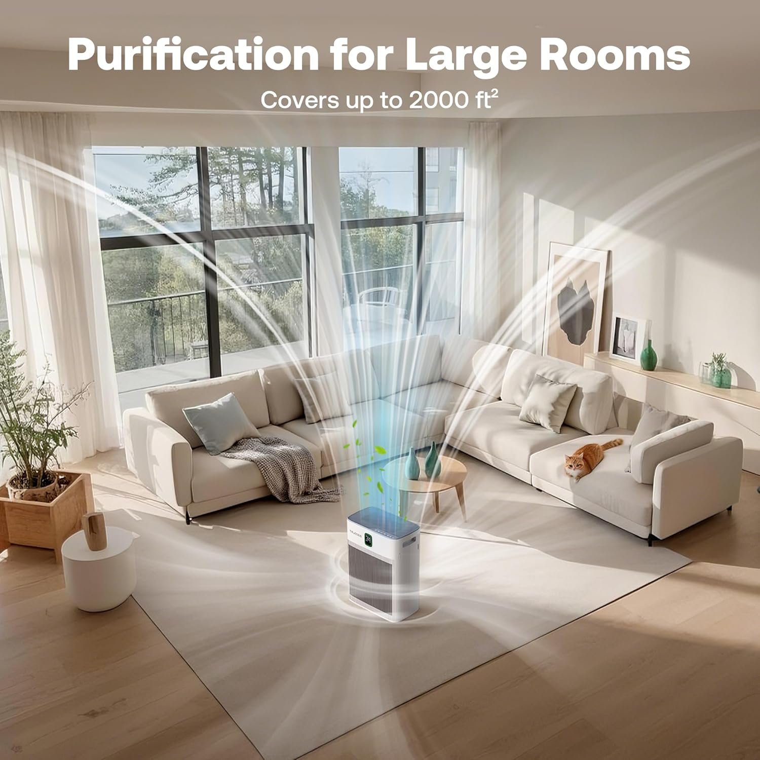 air purifier9.jpg