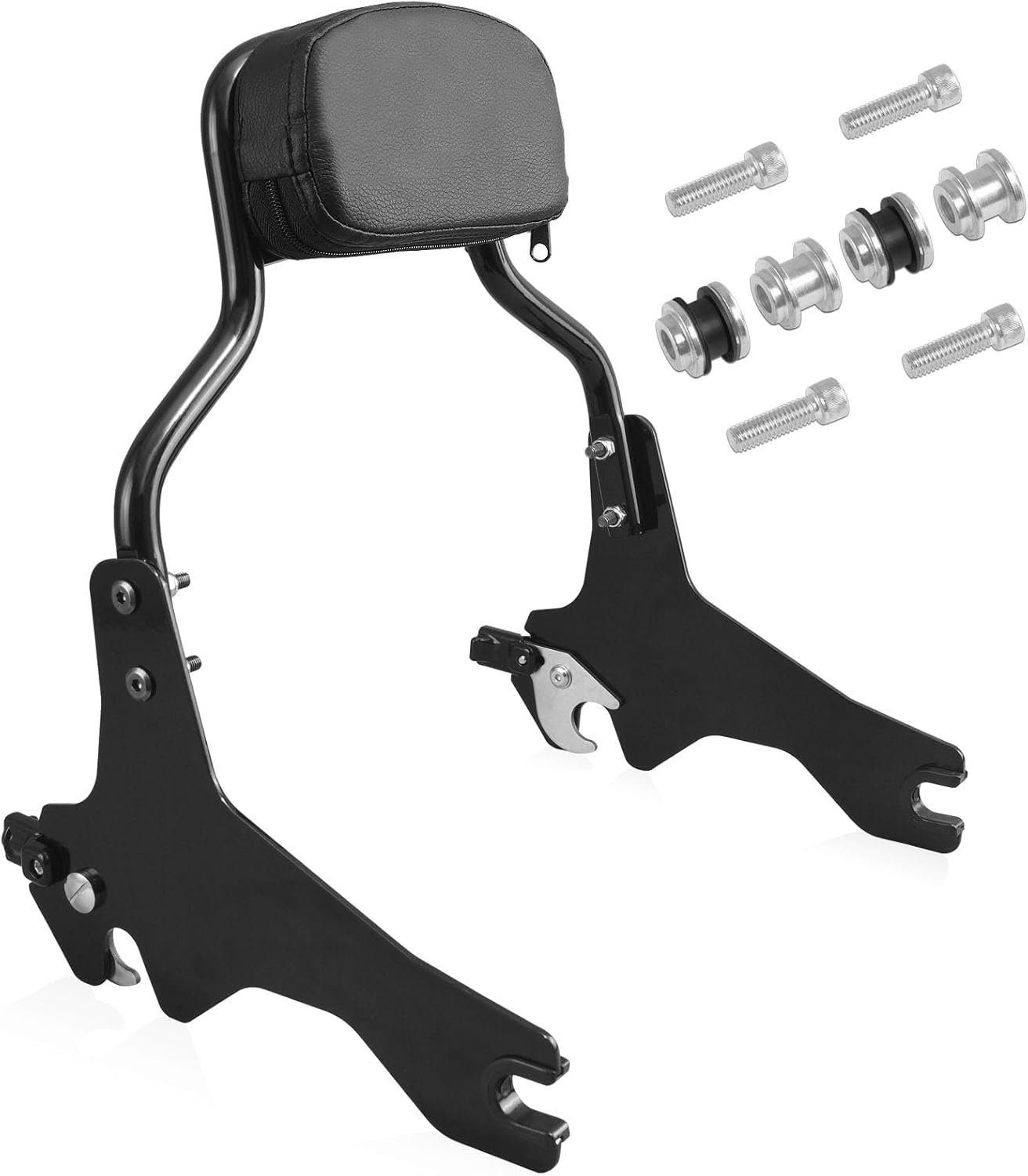 sissy bar1.jpg