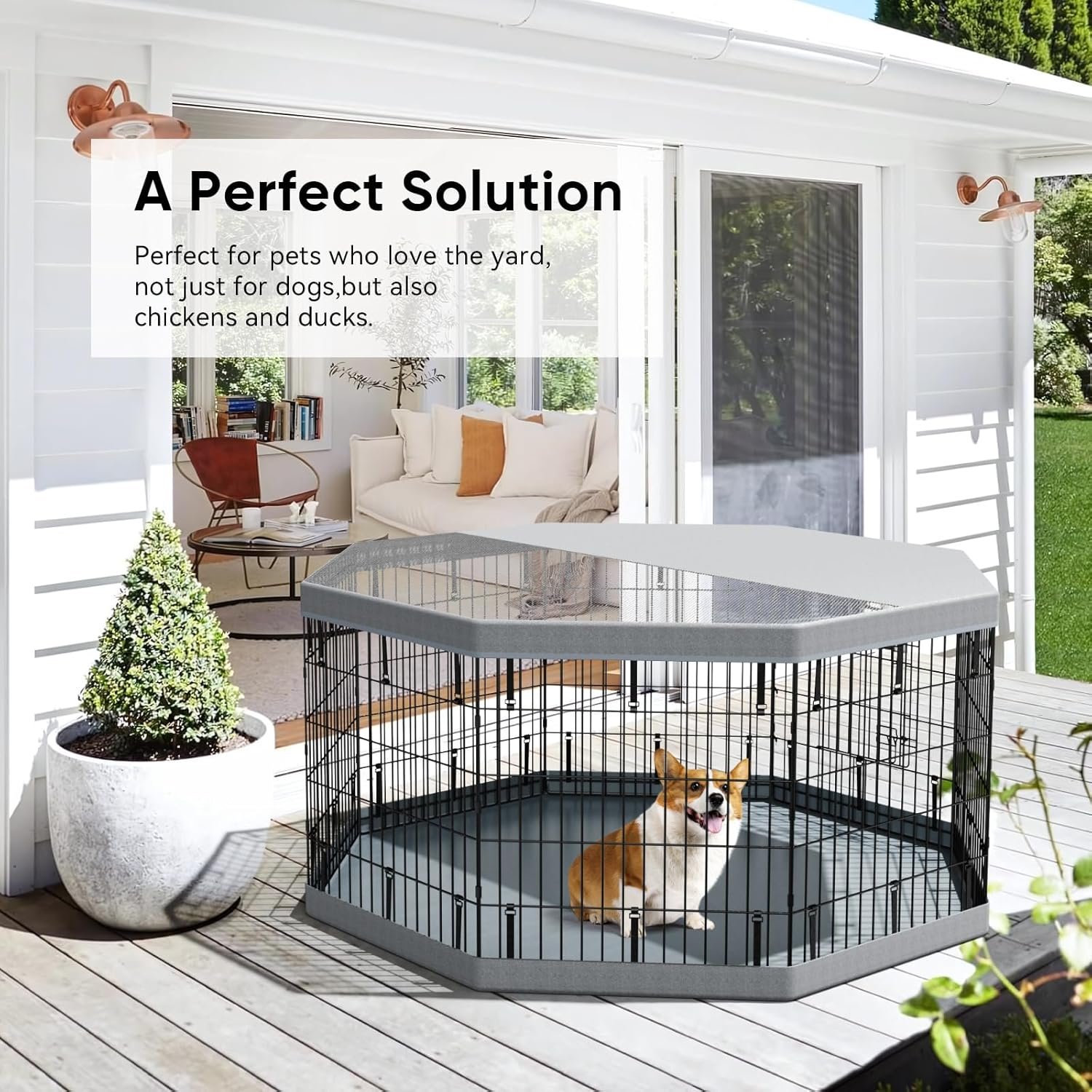 dog playpen.jpg