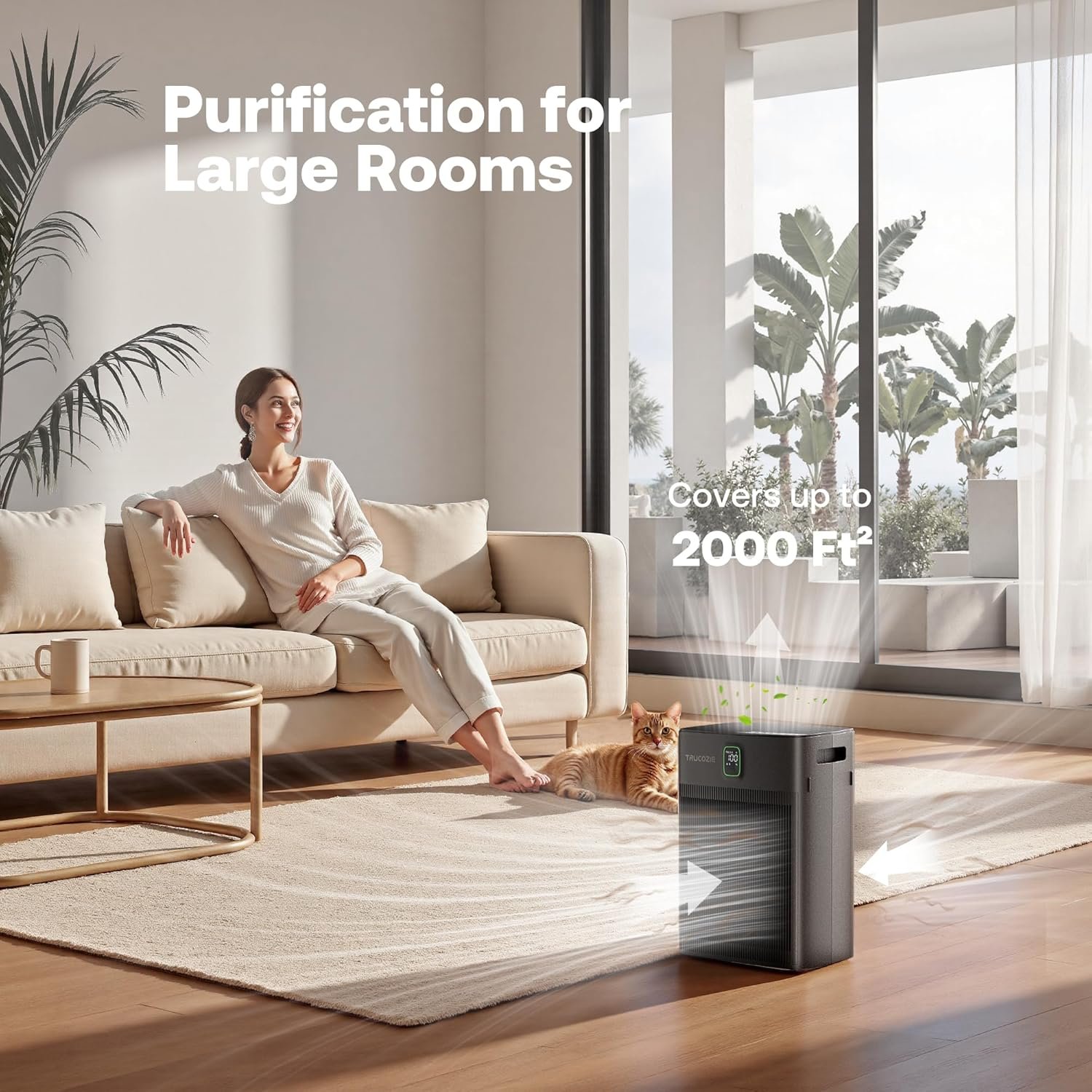 air purifier6.jpg