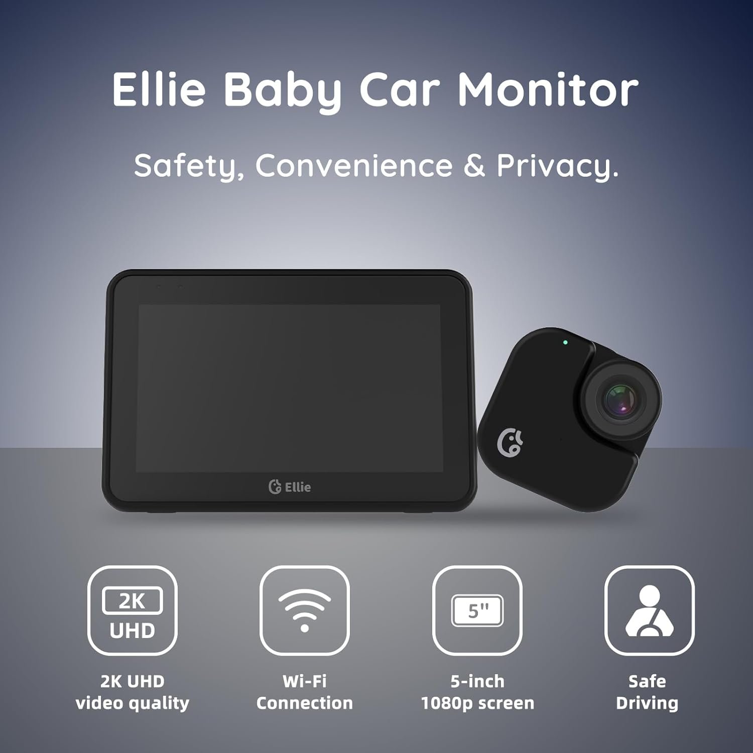 car monitor8.jpg