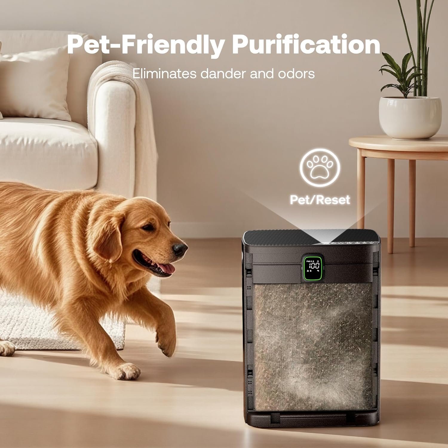 air purifier4.jpg