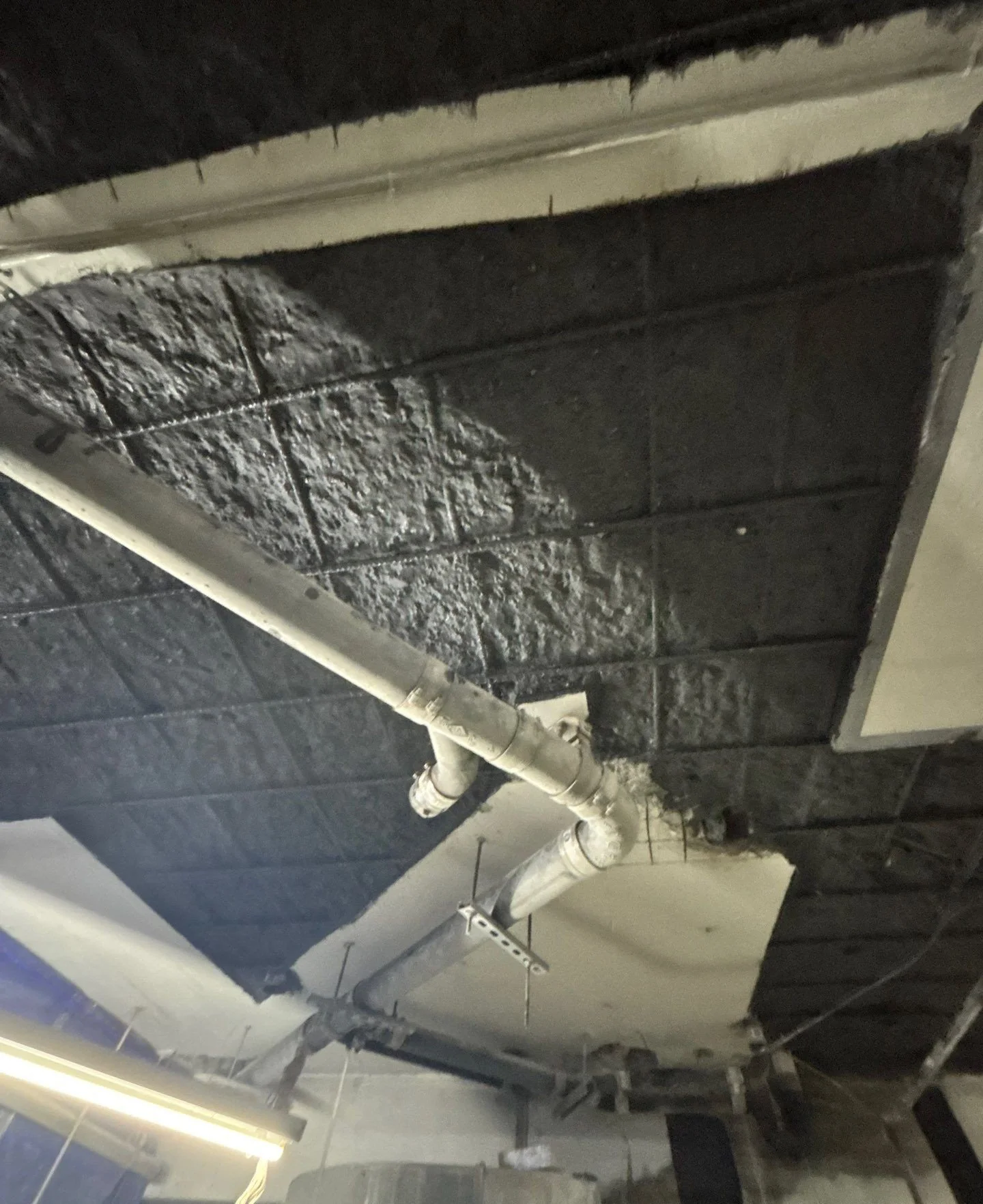 Ceiling with black spray foam insulation and white plumbing pipes.