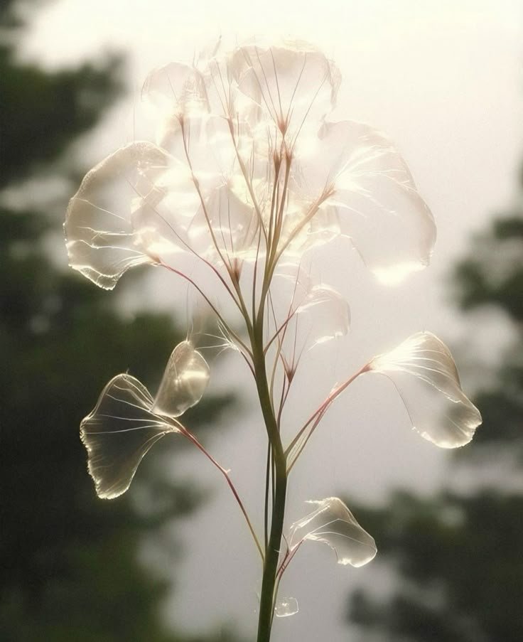 How Stress Impacts Digestion 