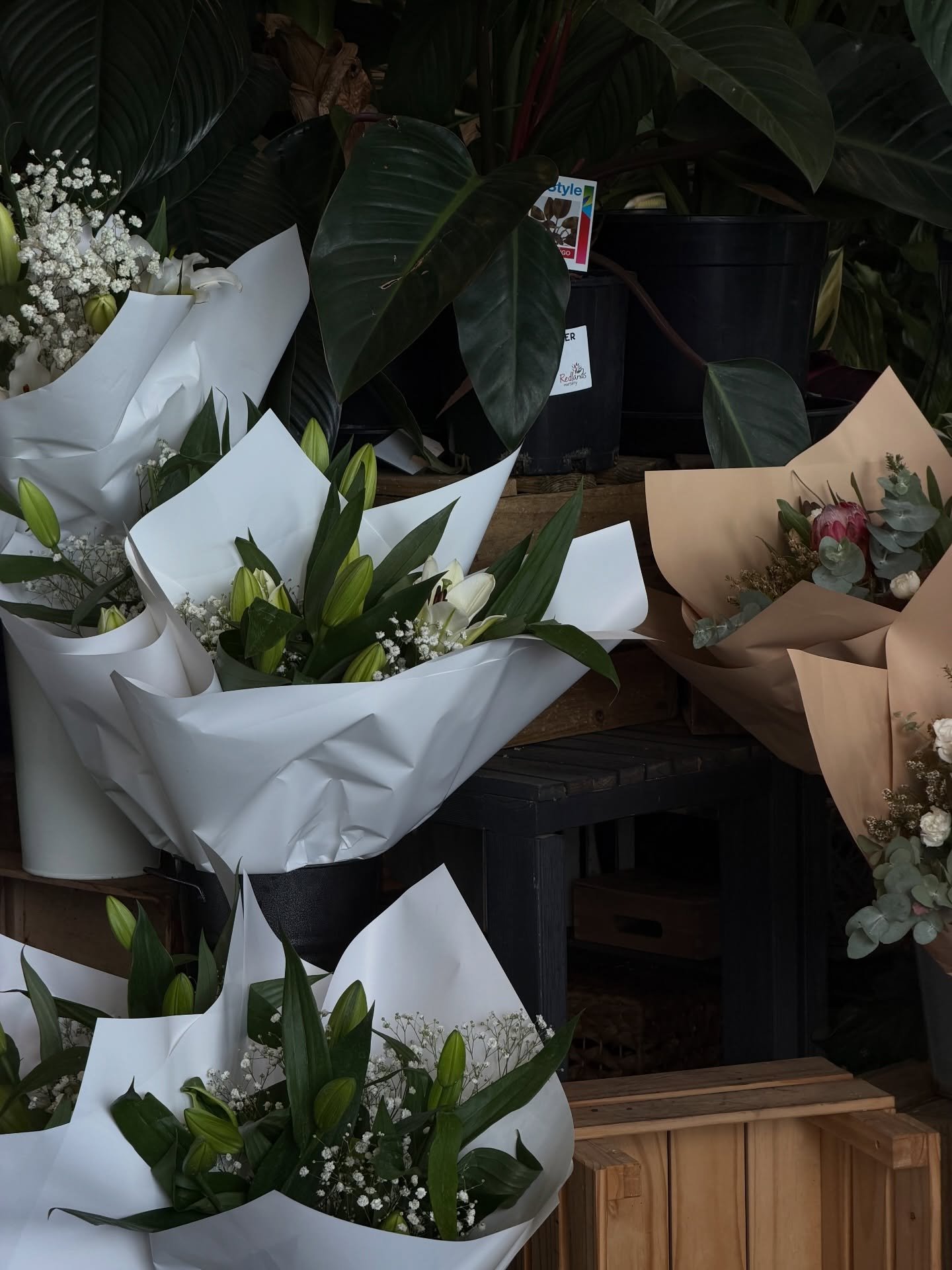 I am slowly starting to remember what it feels like to live life outside of uni (emphasis on slowly) 🌊

lately in my camera roll; 

❣️flowers at blanko 
❣️first time trying cold foam (LOVE)
❣️website updates
❣️practitioner immersion 🥂
❣️blooming ge