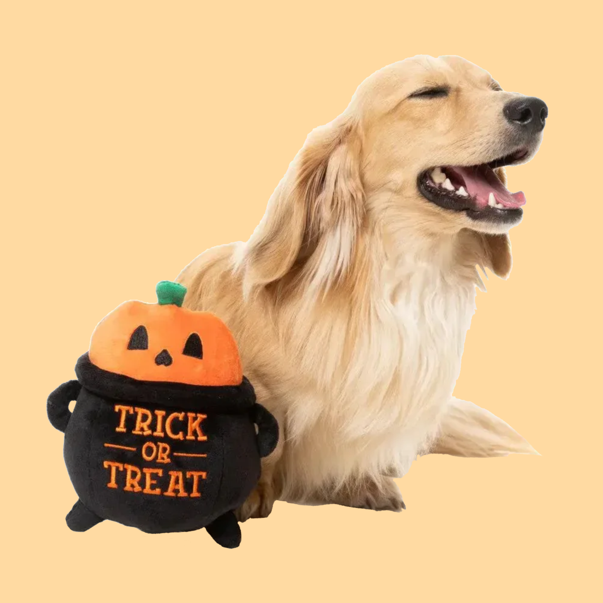 TOY-PPD-FYFZT1050-DOG2.png