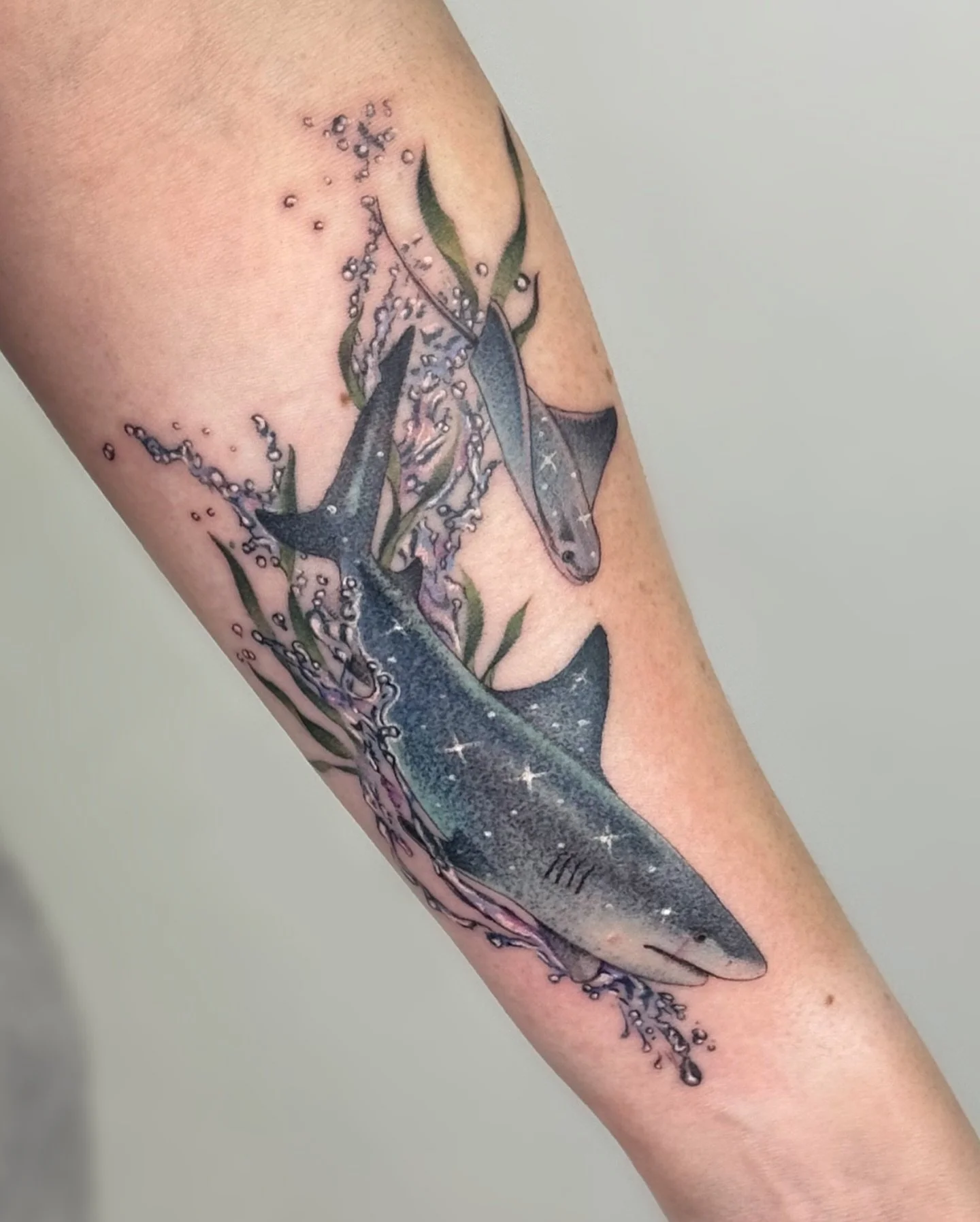 ✧ Starry Bullshark &amp; Stingray ✧
.
A celestial pair✨ custom design of a bull shark and a stingray 🤍 
Thank you Sarah for the trust and congrats on your first tattoo!! 
. .
.
#tattoo #tattoos #ocean #sea #shark #stingray #animaltattoo #animaltatto