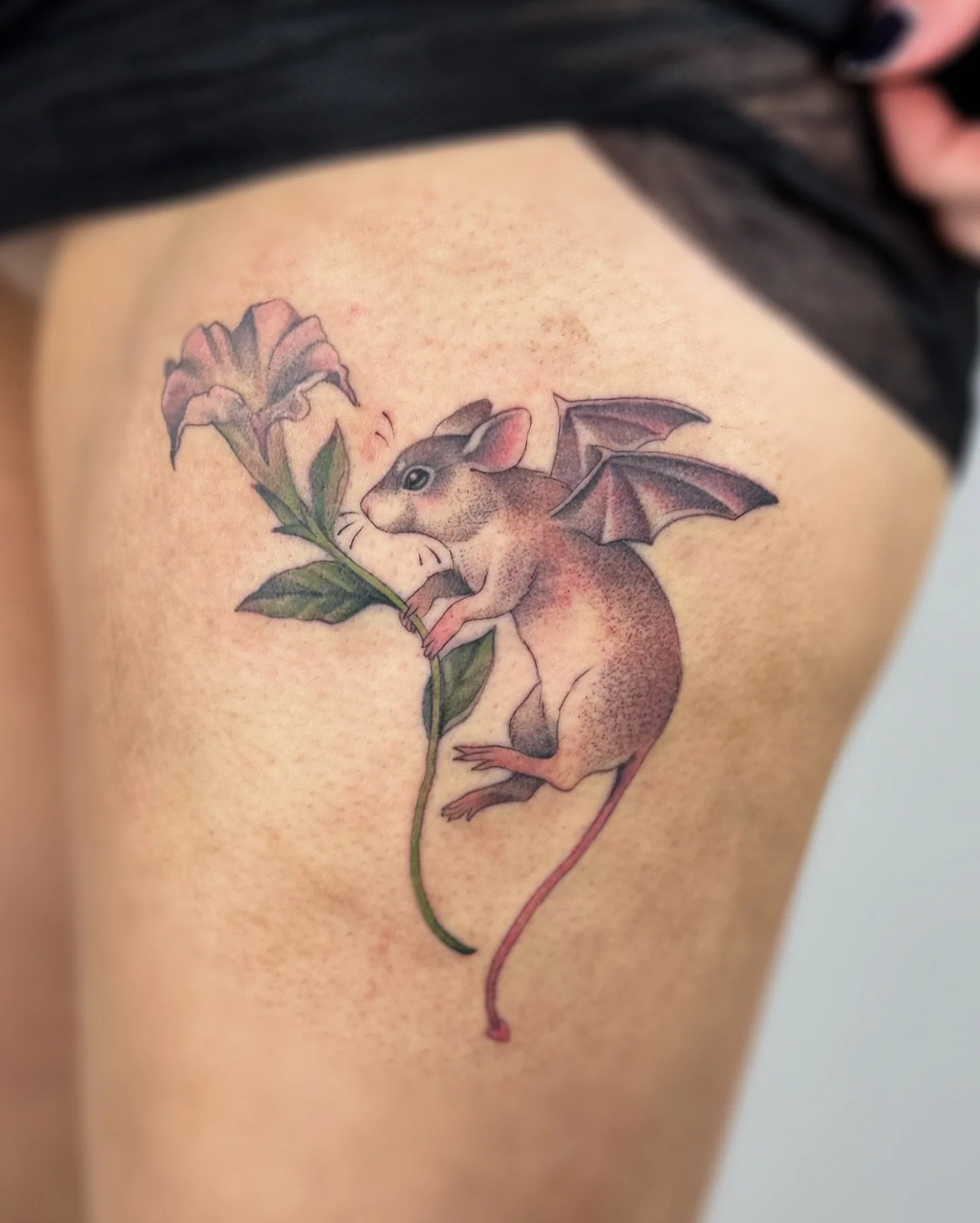 ✧ Devil Mouse ✧
.
Cute little (slightly angry and red)  winged Devil mouse holding a Devil&rsquo;s trumpet flower for Madelyn!  Thank you for the trust!  .
.
#tattoo #tattoos #mouse #floral #floraltattoos #floraltattoo #predrawn #design  #designs #ny