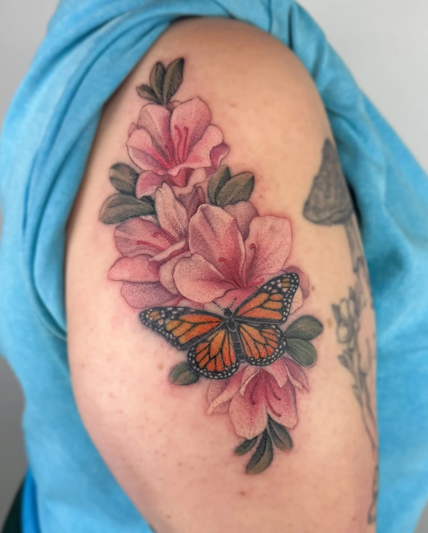 ✧ Azaleas &amp; Monarch ✧
.
 Pink Azaleas and a Monarch butterfly for Tori!  It was such a pleasure to have you back! 
.
.
.
#tattoo #tattooing #tattooart #tattooartist #azalea #floral #florals #floraltattoo #floraltattoos #floraldesign #monarchbutte