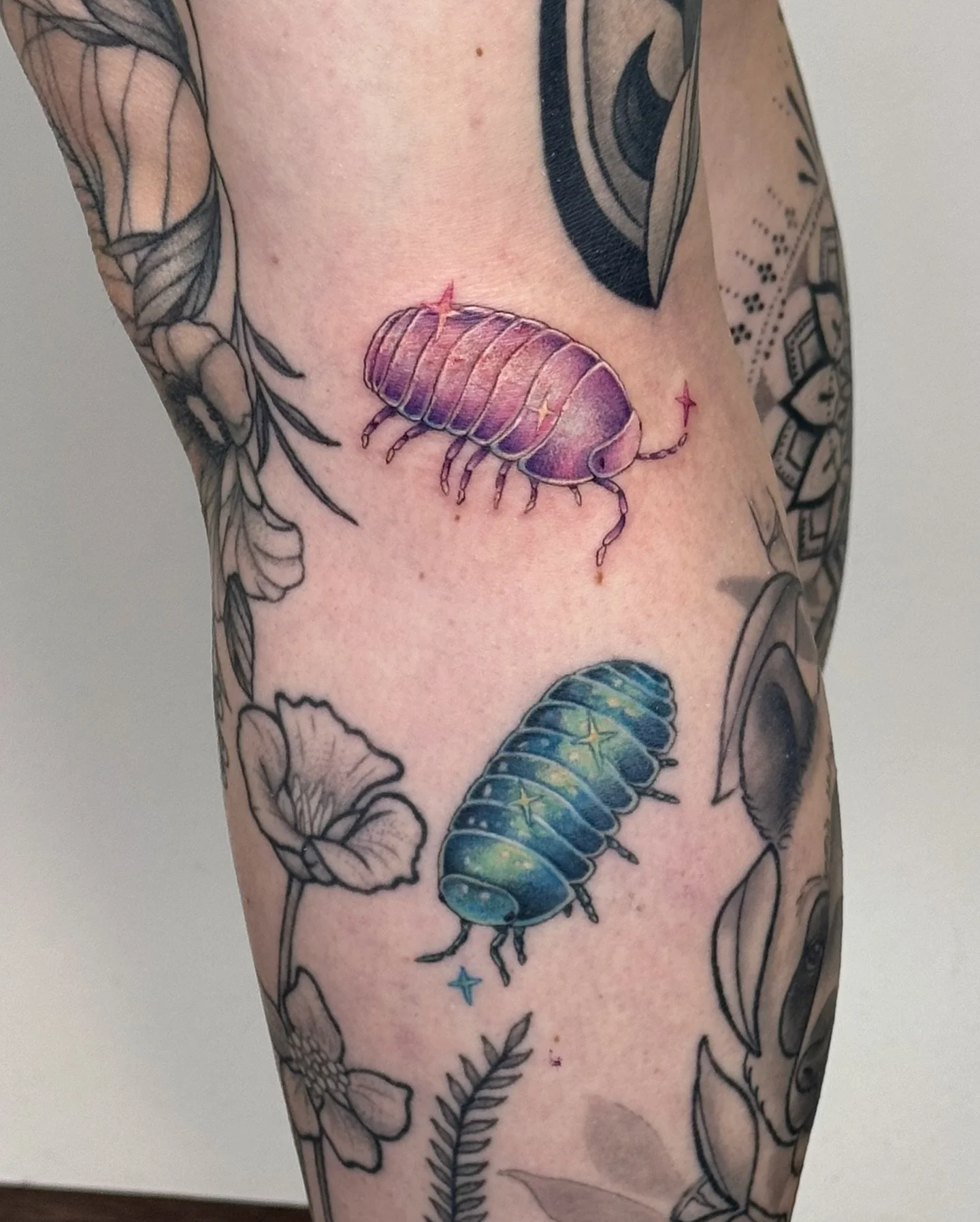 ✧ Isopods
.
Almost missed this one! 
An adorable pair of isopods! Biggest thank you to Alison for getting these two!  Sunset isopod is new ( and a little angry ) and the Luminescent Isopod is fully healed! 
So excited to see it healed! 
.
.
#tattoo #