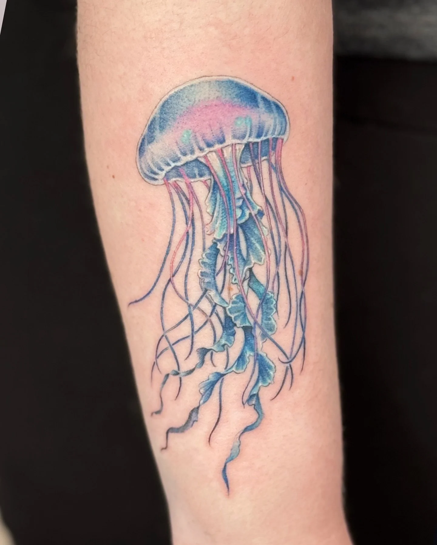 ✧ Jellyfish
.
Colorful blue/pink jellyfish for Kendrick! 
Thank you for the trust! I had so much fun playing around with this design and its colors! 

.
.
.
#tattoo #tattoos #tattooing #tattooart #customtattoo #jellyfish #sealife #illustrative #illus