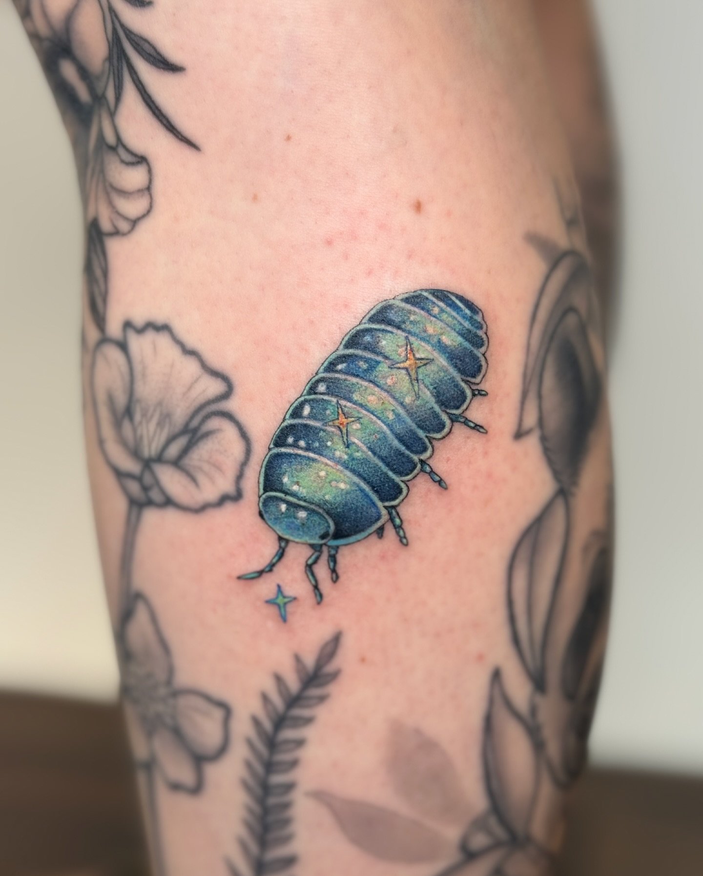 ✧ Luminescent Isopod
.
The Luminescent Isopod from my recent Isopod designs!  I like to imagine this one would glow in the dark like those glow in the dark star stickers.  Thank you Alison!  For coming back to get this cute little guy! 
Look how snug