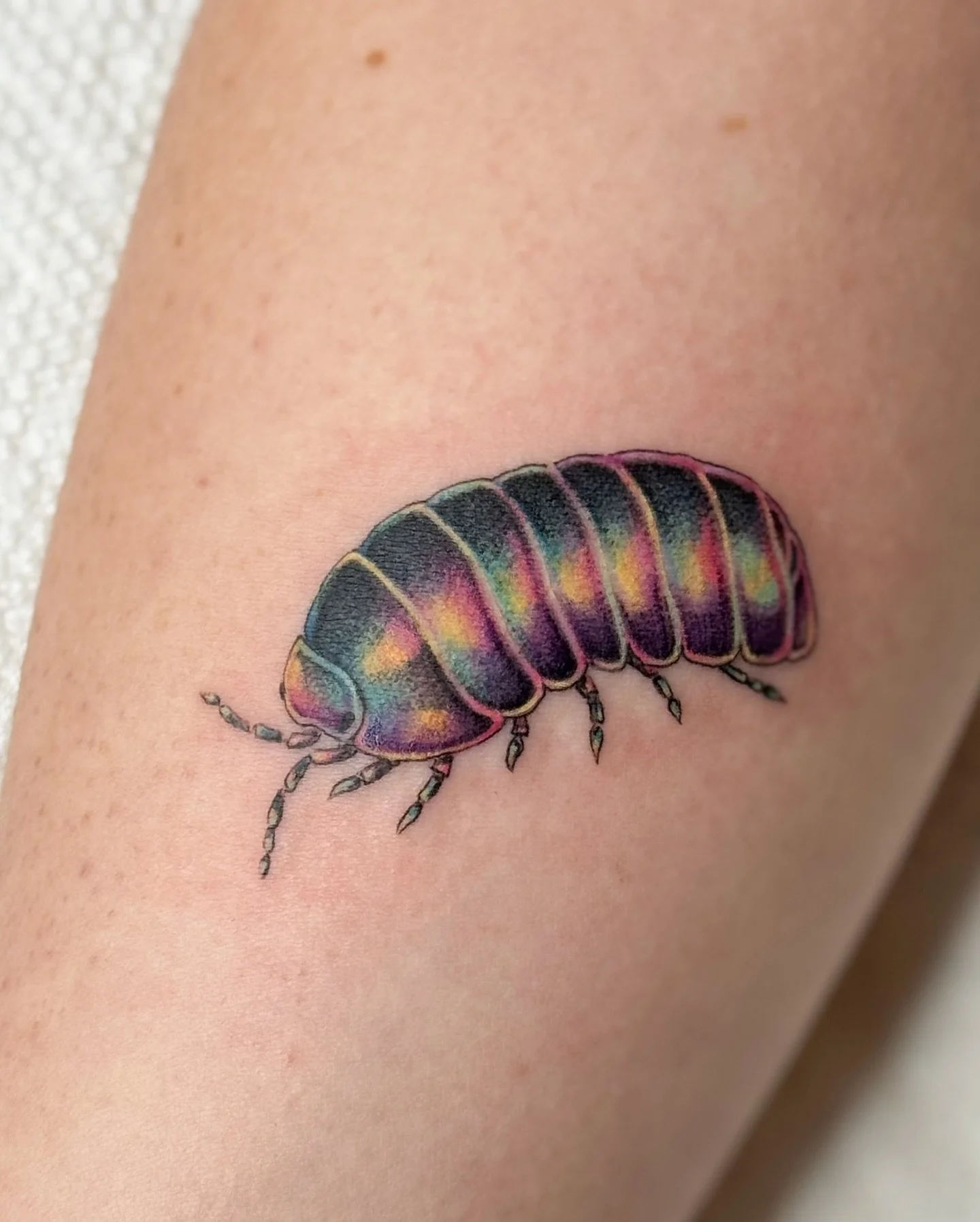✧ Holographic Isopod
.
The Holographic Isopod from my recent Isopod designs!  Biggest thank you to Allison for grabbing this design! Im so excited to have tattooed this one!  Would love to have more holographic like colors in future designs! 
. 
Thre