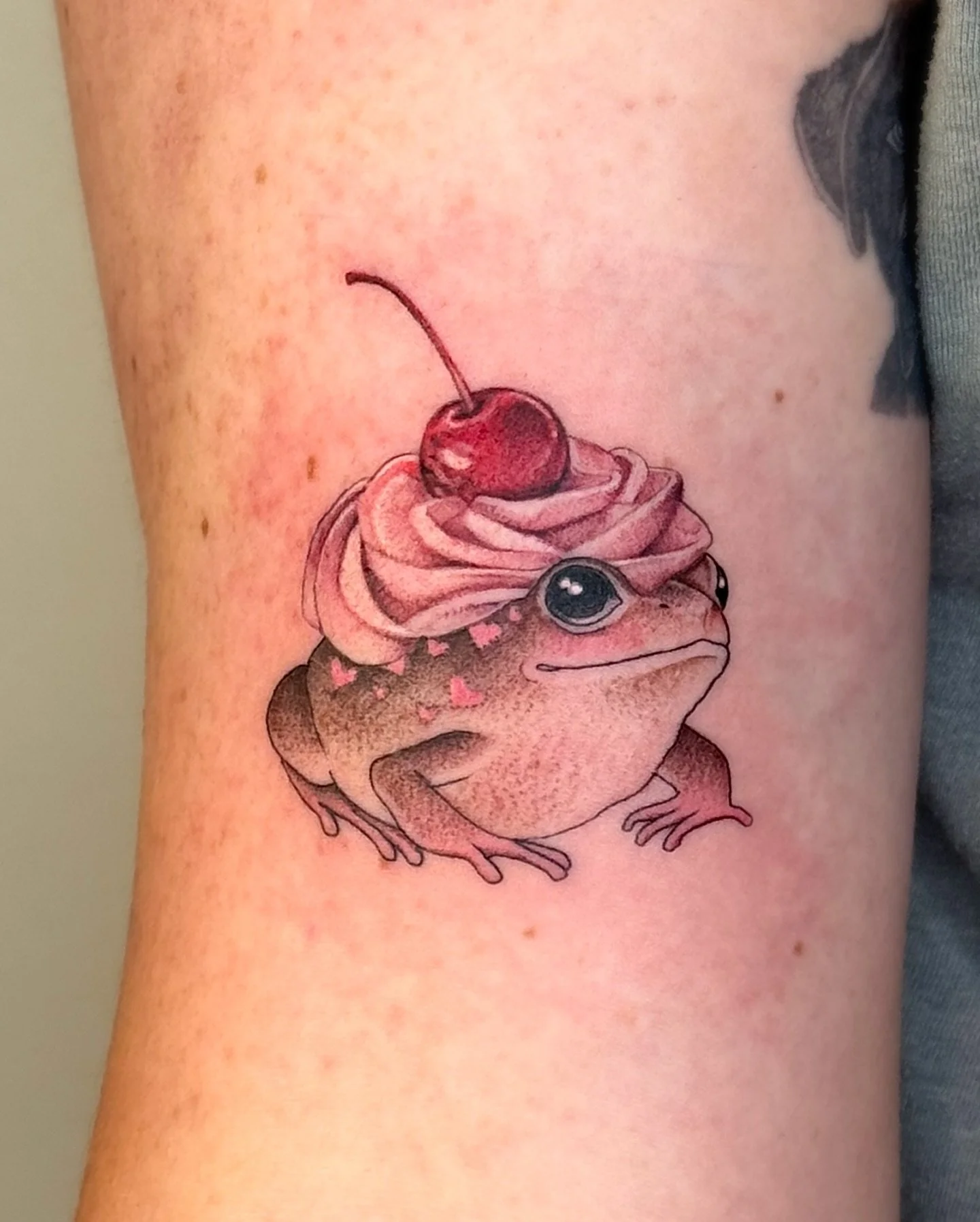 ✧ Cupcake Frog
.
Chocolate cupcake Frog from my Valentoad designs!  Thank you so much Hunter for getting this cute little frog, had so much fun tattooing this design! 🧁
. 
More predrawn designs available in the link in my bio! 
.
.
.
.
#tattoo #tatt
