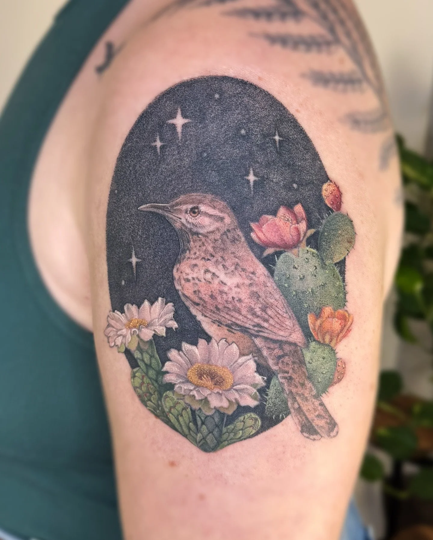 ✧Cactus Wren
. 
Sweet Cactus Wren with some cactus / flowers!  Biggest thank you to Allison for the trust! I absolutely loved working on this one! 
. 
Would absolutely love to work on and tattoo more projects like this! 
. 
.
.

#tattoo #tattoos #col