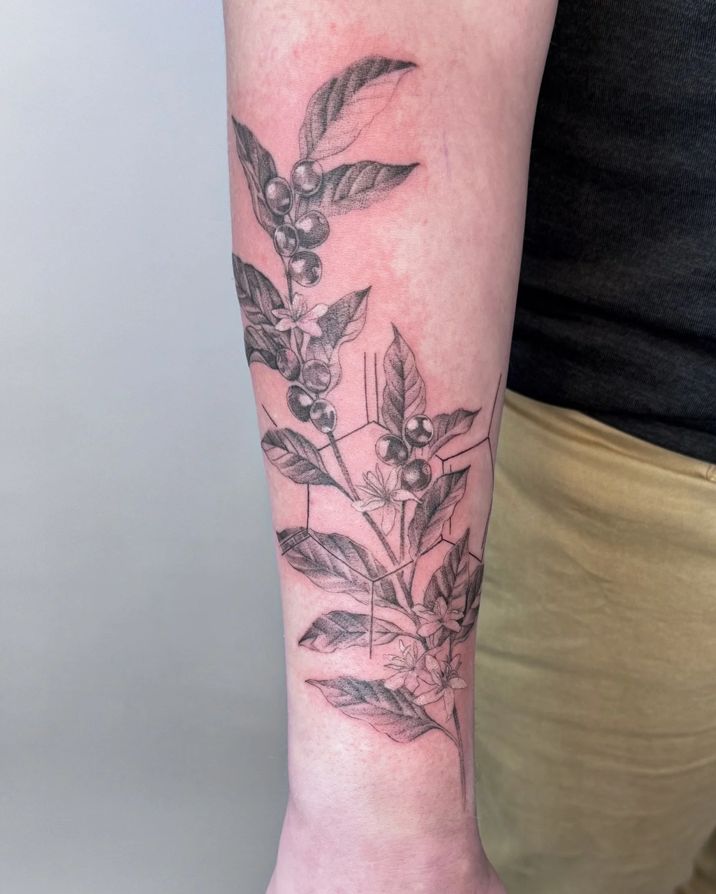✧ Caffeine Coffee Plant 
.
Black and grey coffee plant with the chemical structure for caffeine for Josh!  Thank you so much Josh for trusting me with your first tattoo!! 
.
Always looking to do botanical tattoos in black and grey or color! 🤍 
.
.
.
