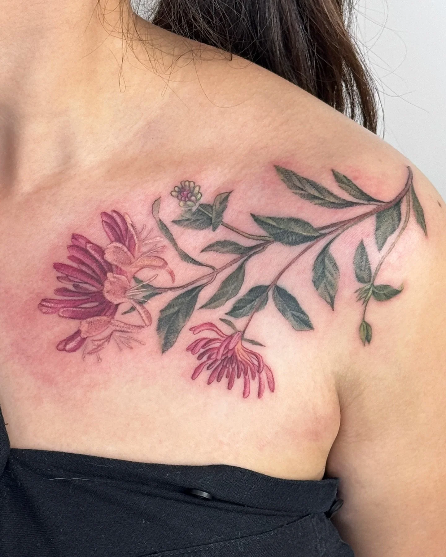 ✧ Honeysuckles
.
Honeysuckle flowers for Jana! 
I was especially excited working with this placement for a floral design!
Thank you so much Jana for the trust and sharing your knowledge of these flowers through the designing process!✨
.
.
Would love 