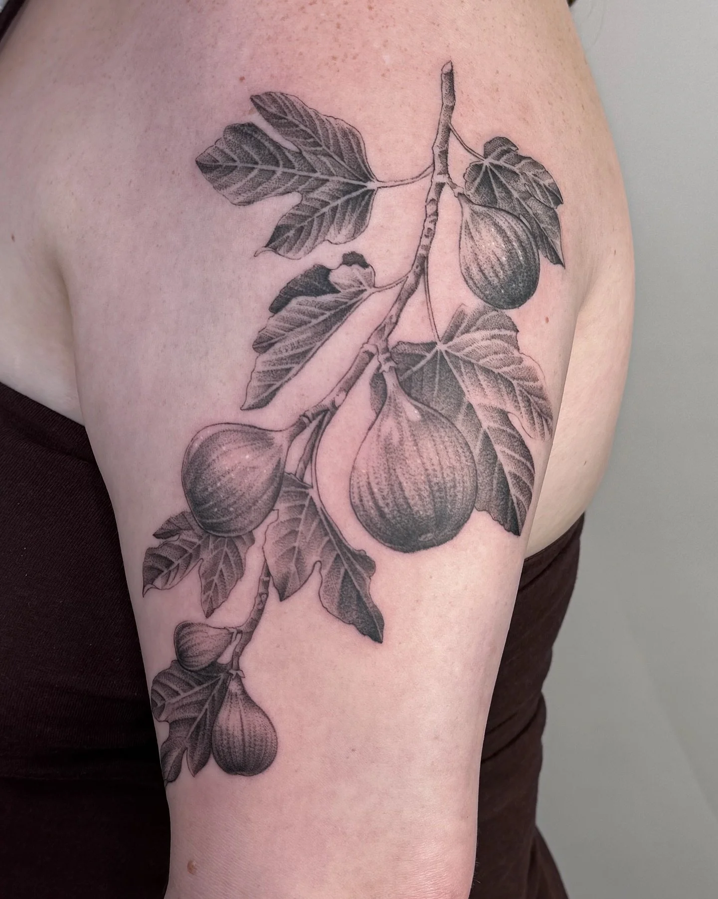 ✧ Fig Branch ✧
.
Black and grey Figs in different growth stages on a branch for Jalyn! 
Thank you for the trust!!  This design is inspired by a novel ✨ . .
#tattoo #tattoos #tattooing #tattooist #fruittattoo #illustrative #illustrativetattoo #illustr