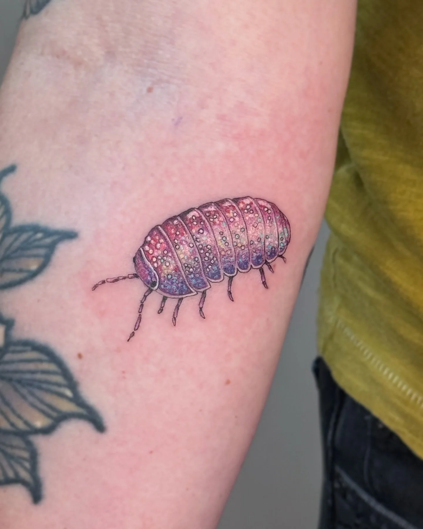 ✧ Glitter Isopod ✧
.
The Glitter Isopod!✨
Thank you Jessica for the trust and letting me tattoo the glitter isopod! 
.
✧Available predawn designs can be viewed through the link in my bio under &ldquo;predawn designs&rdquo; 
.
. .
#tattoo #tattoos #ta