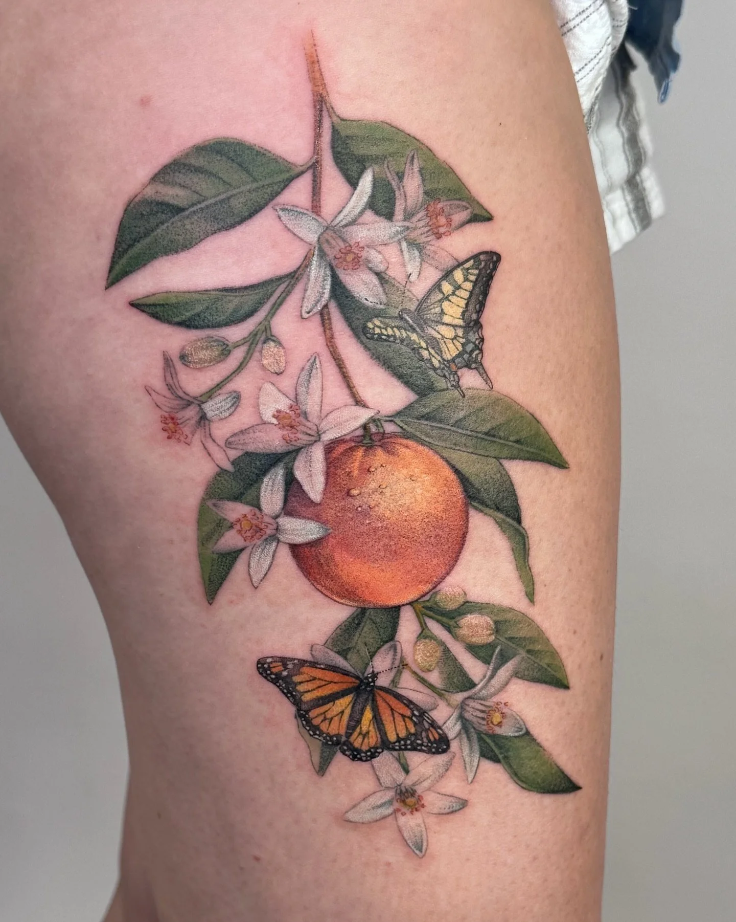 ✧ Orange and Butterflies ✧
.
So excited to post this one! 
. 
This tattoo is meant to represent my client and her husband!  The orange representing her roots from Florida ,the Monarch butterfly to represent her , and the swallowtail to represent her 