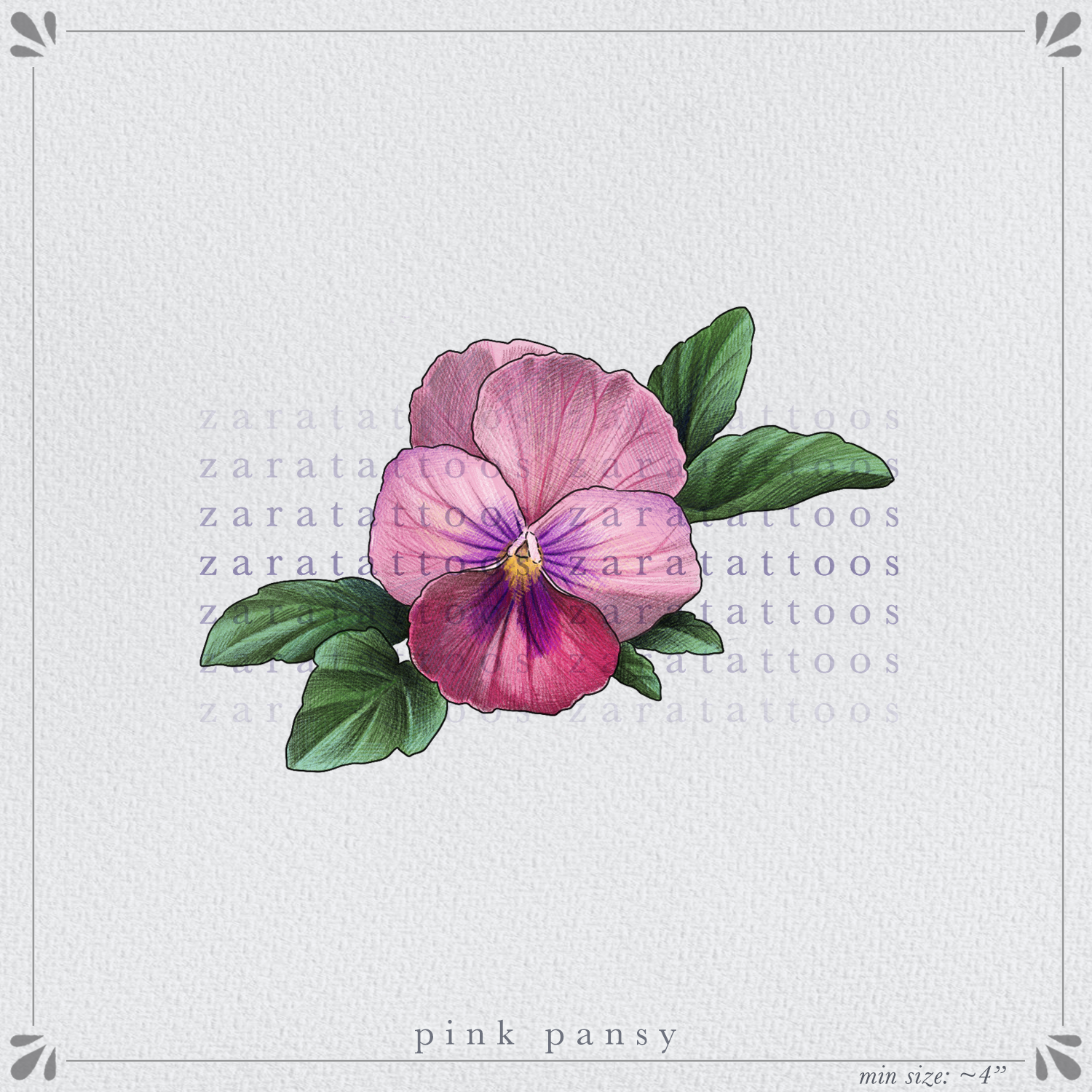 ✧ Pink Pansy ✧