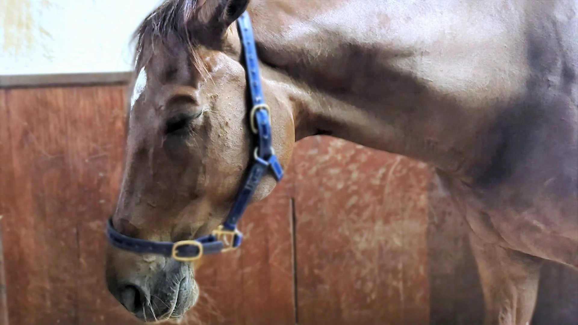 EB Spider processing 2.JPG