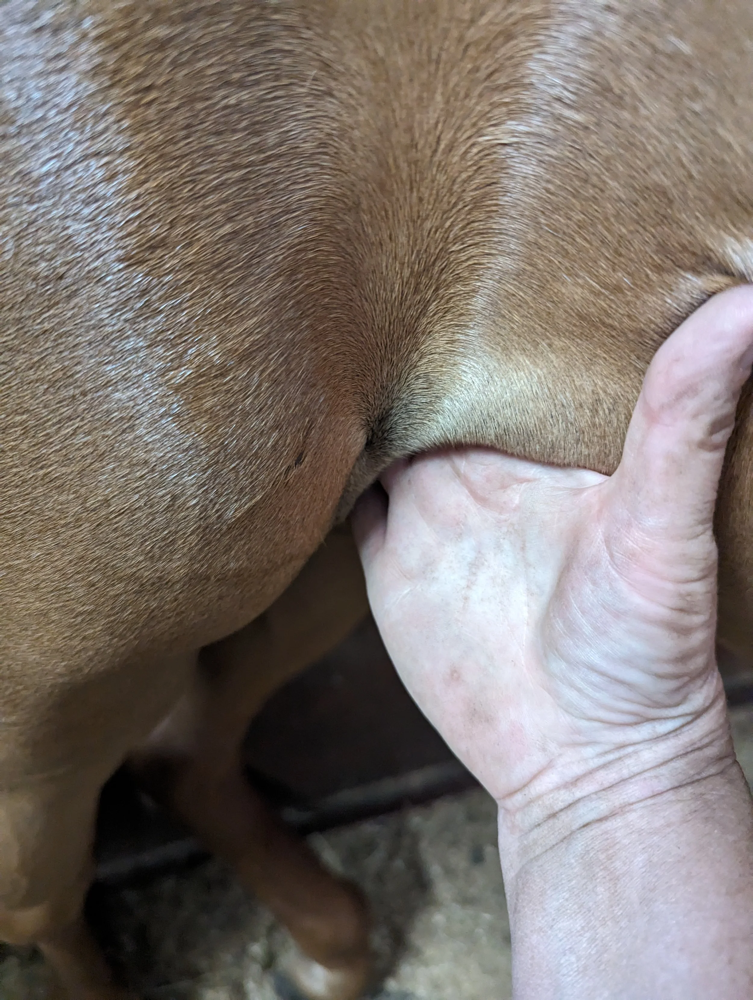 Services Meth and Mod  tissue manipulation .jpg