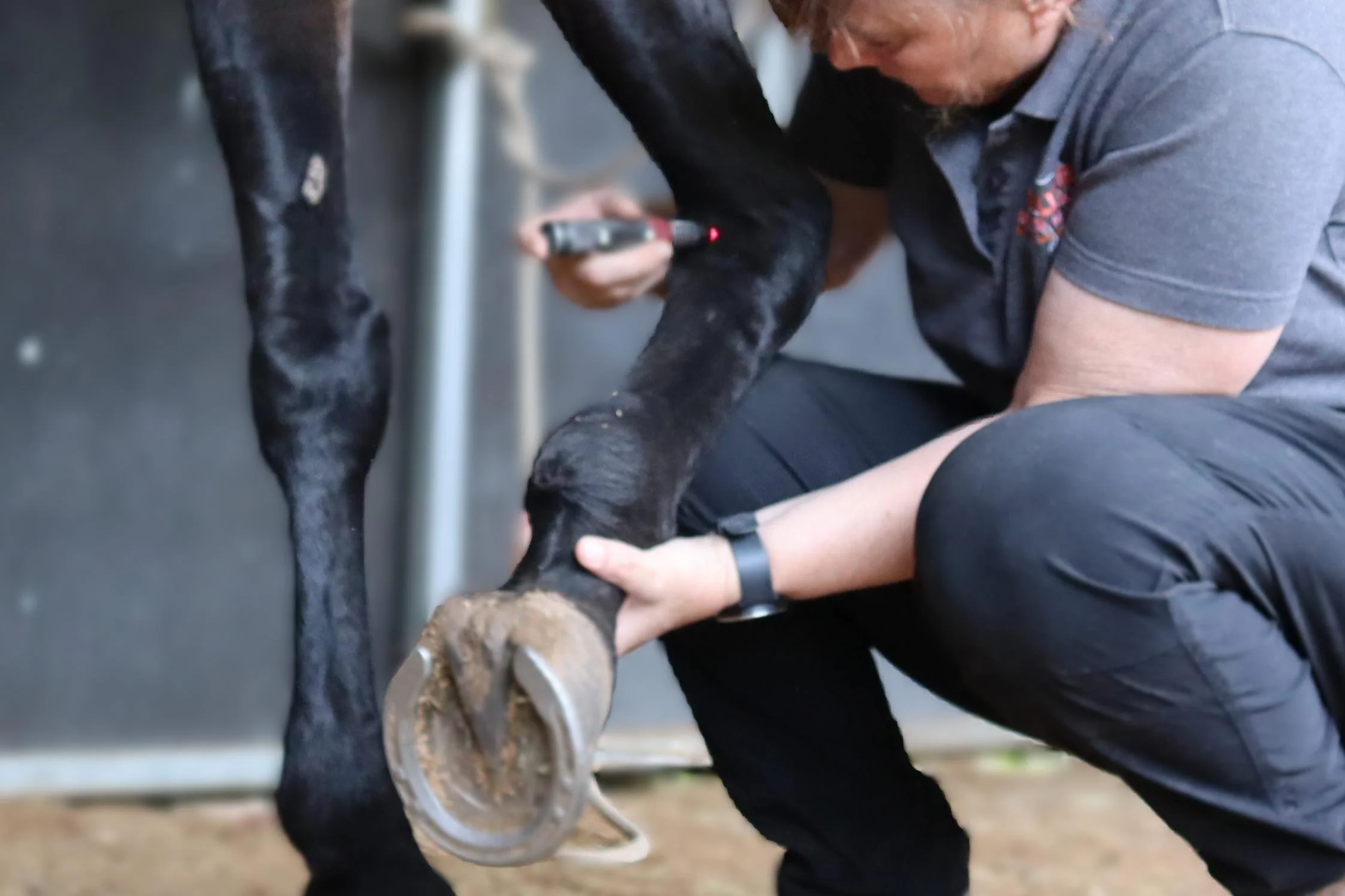 Services Red light back of knee (1).JPG