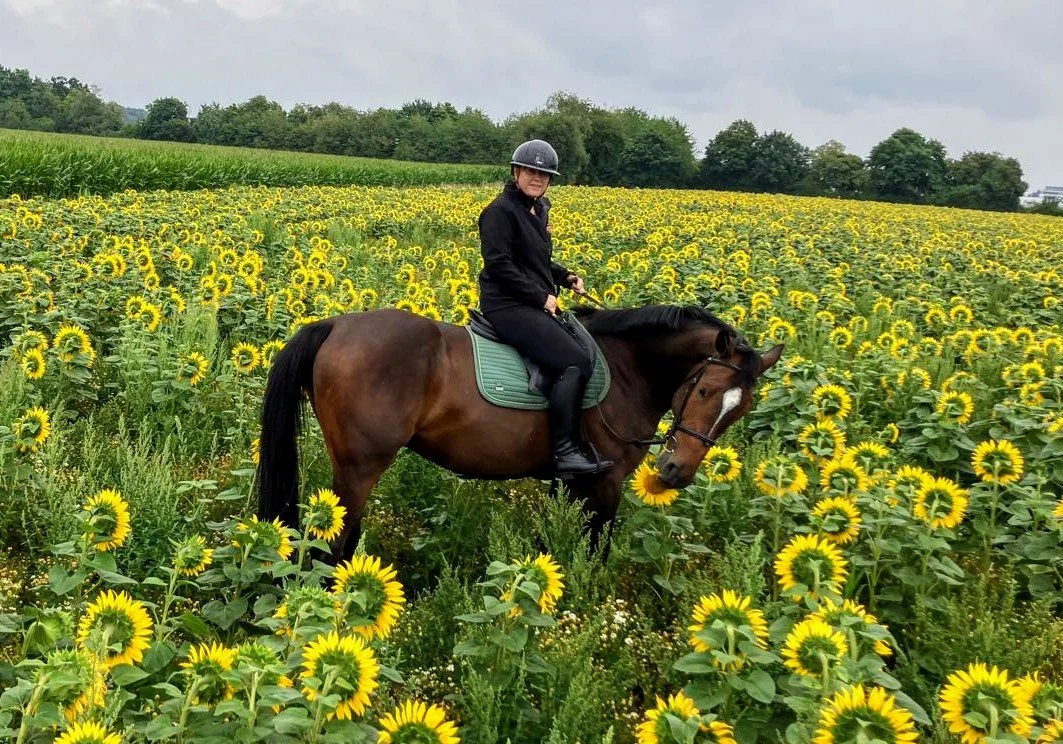 Woman in black riding attire and helmet on a brown horse with a green saddle pad, standing in a field of blooming sunflowers under a cloudy sky.