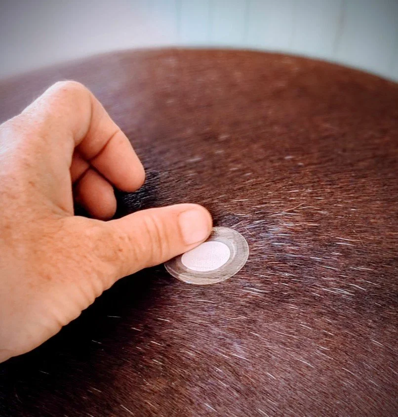 Services Meth and Mods Photo therapy patching .jpg