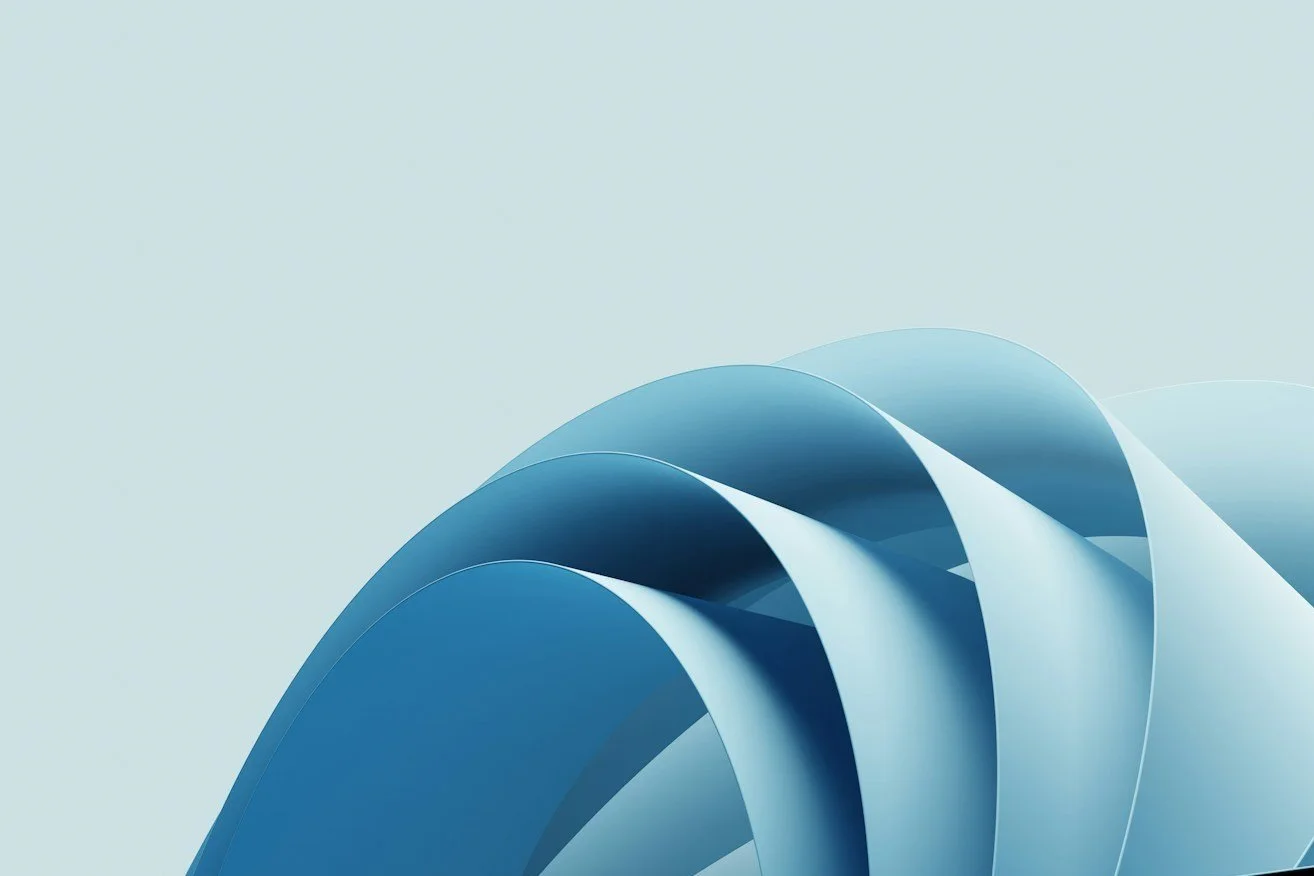 Rocky mountain trail with fog and tall pine trees