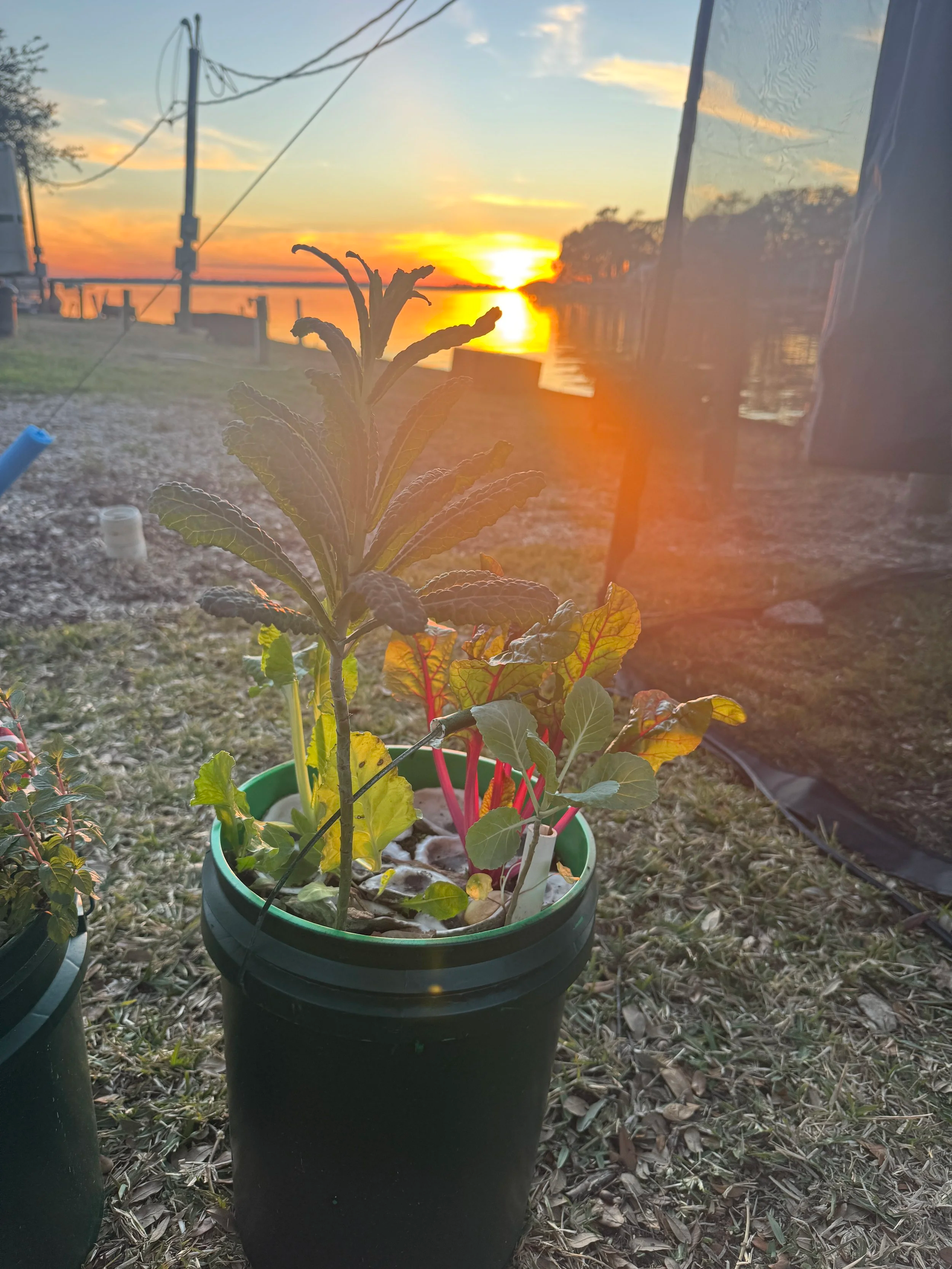 The hidden frustration every plant parent knows…