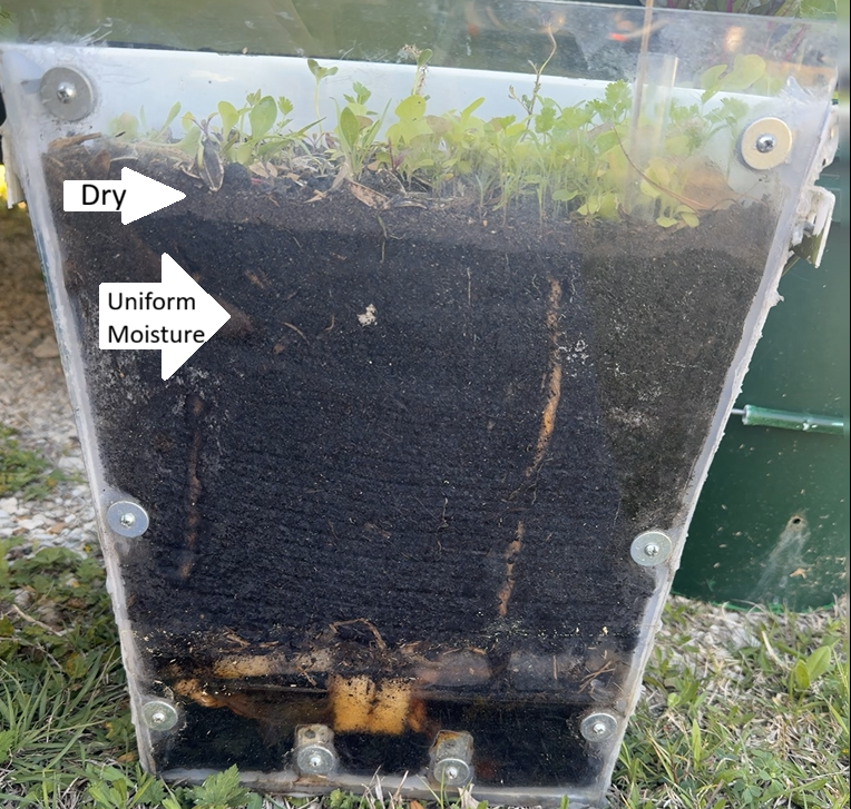 Consistent watering beats “perfect” watering (with data links)