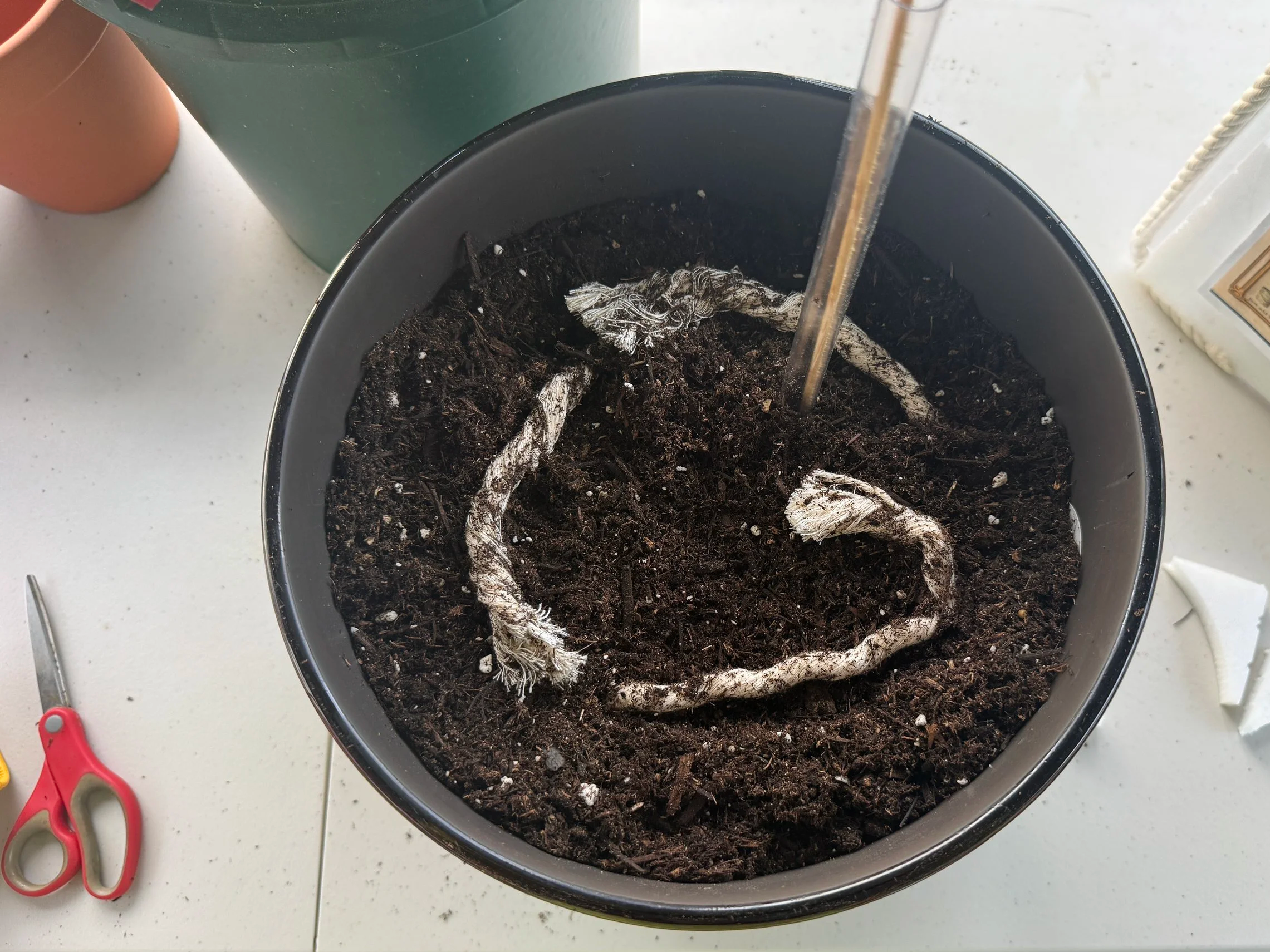 Wick spacing made simple (5/16" wicks, 6"–16" containers)