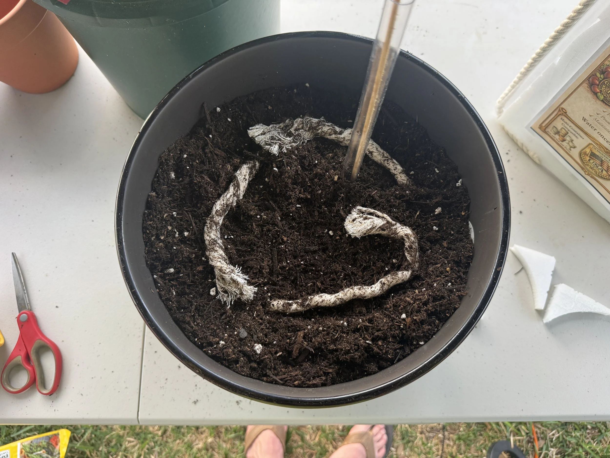 Container Soil Guide: Cheap vs Premium Mixes, What’s Inside, and What Actually Works