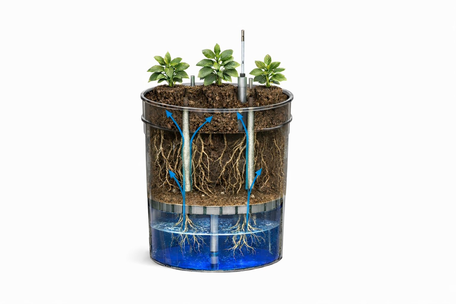 Soil Oxygen: The Missing Piece in Container Gardening (And How System Design Changes Everything)