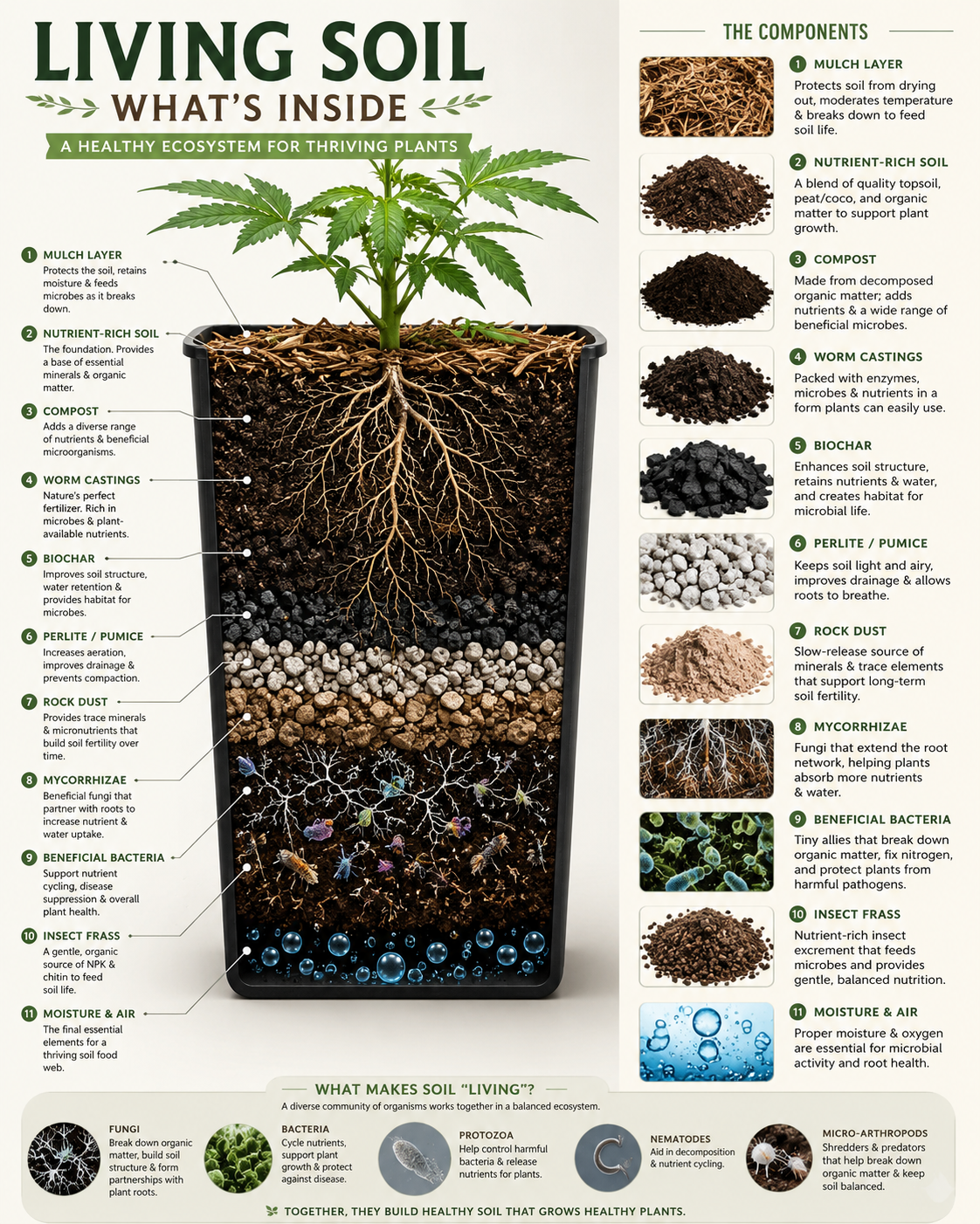 Living Soil in Containers: What It Is, Why It Matters, and How to Actually Build It