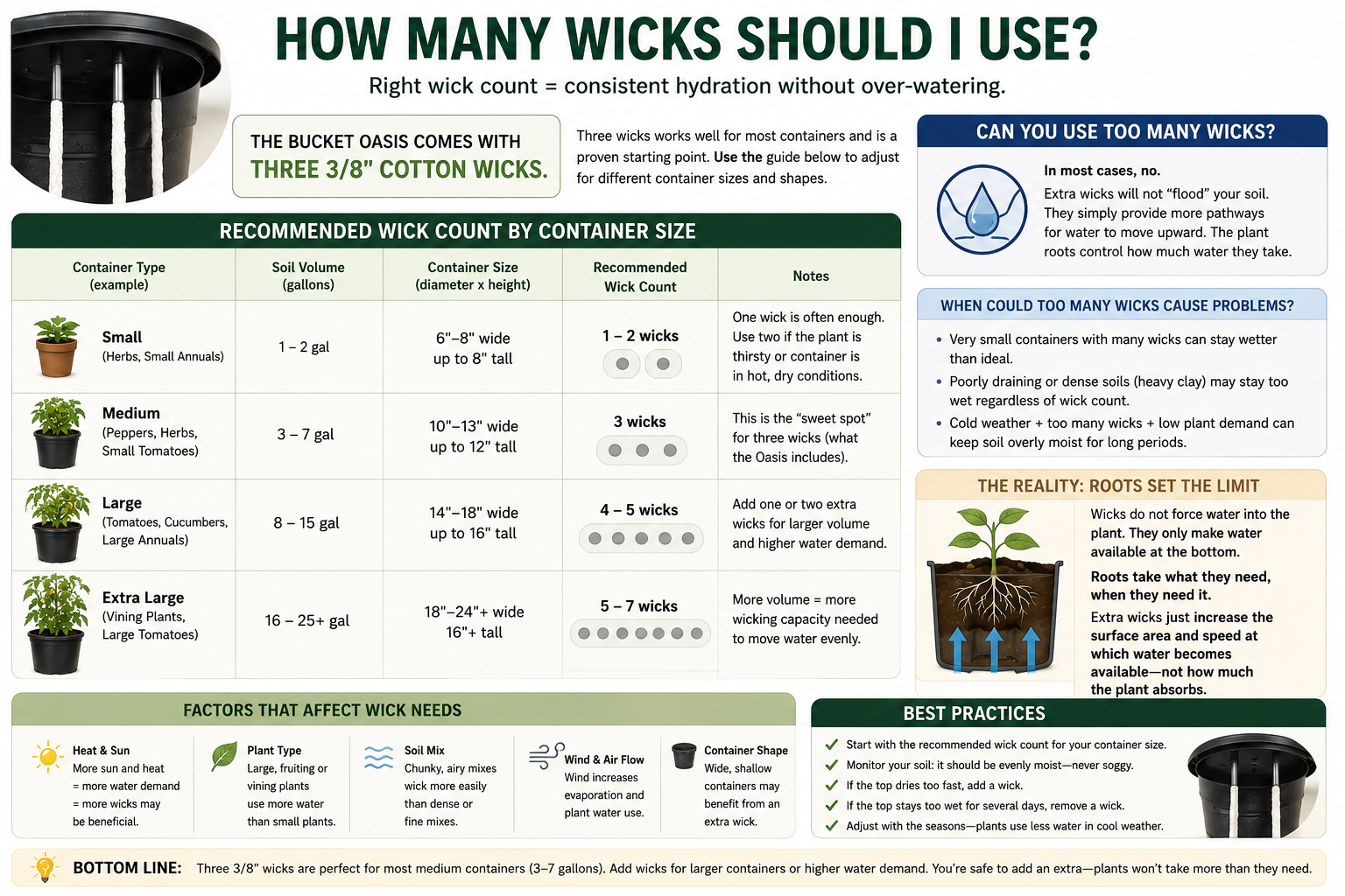 How Many Wicks Should You Use? The Science Behind Wick Count, Container Size, and Soil Moisture