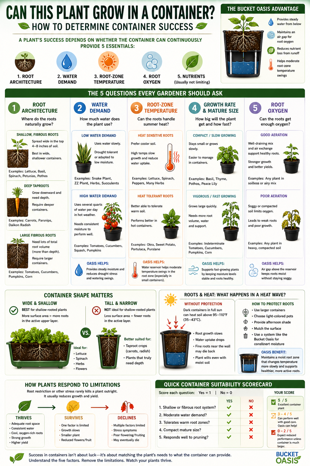 How to Tell If a Plant Can Be Grown in a Container: The Science Behind Container-Friendly Plants
