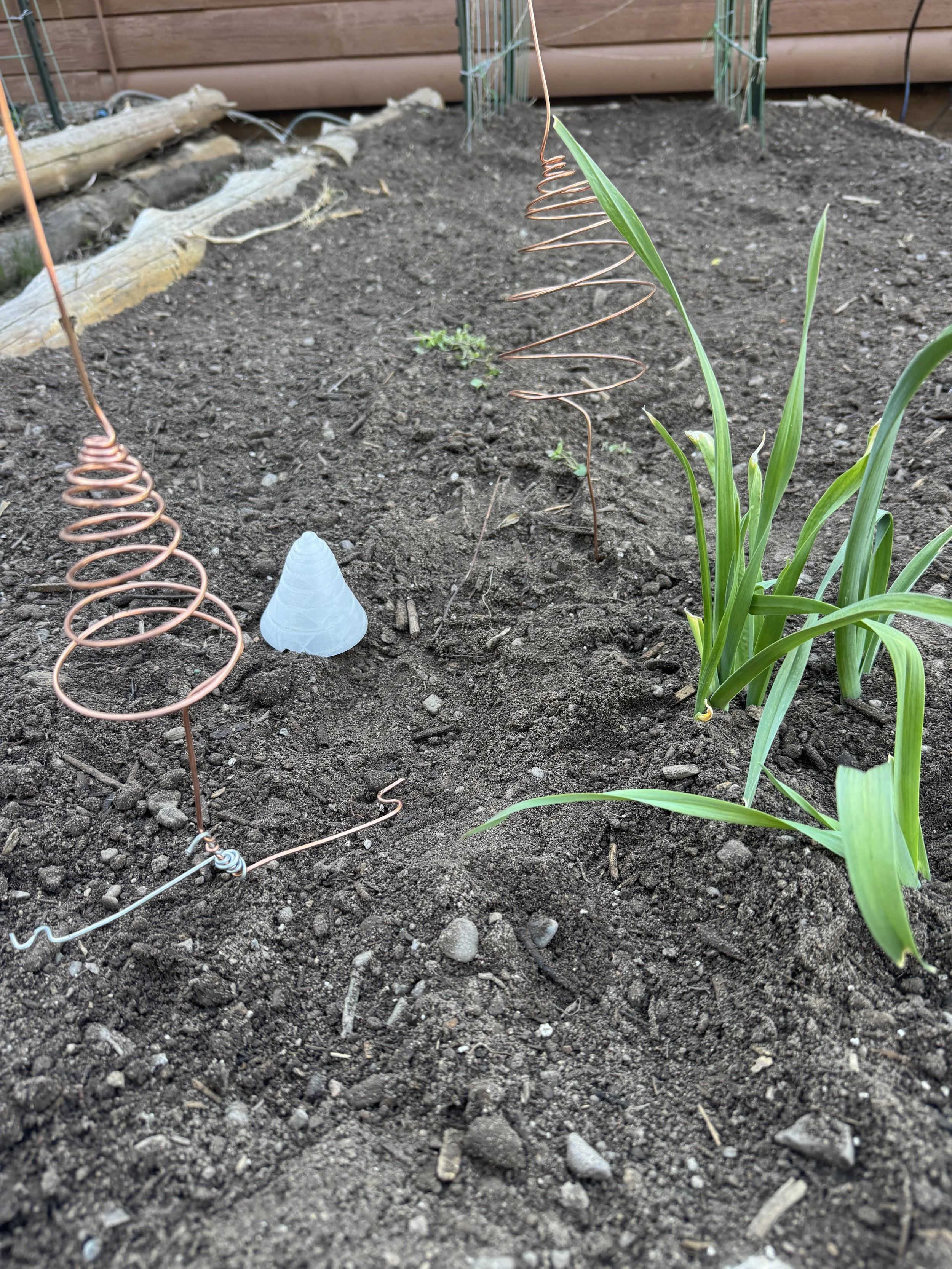 Electroculture and Container Gardening: Ancient Gardening Secret or Modern Myth?