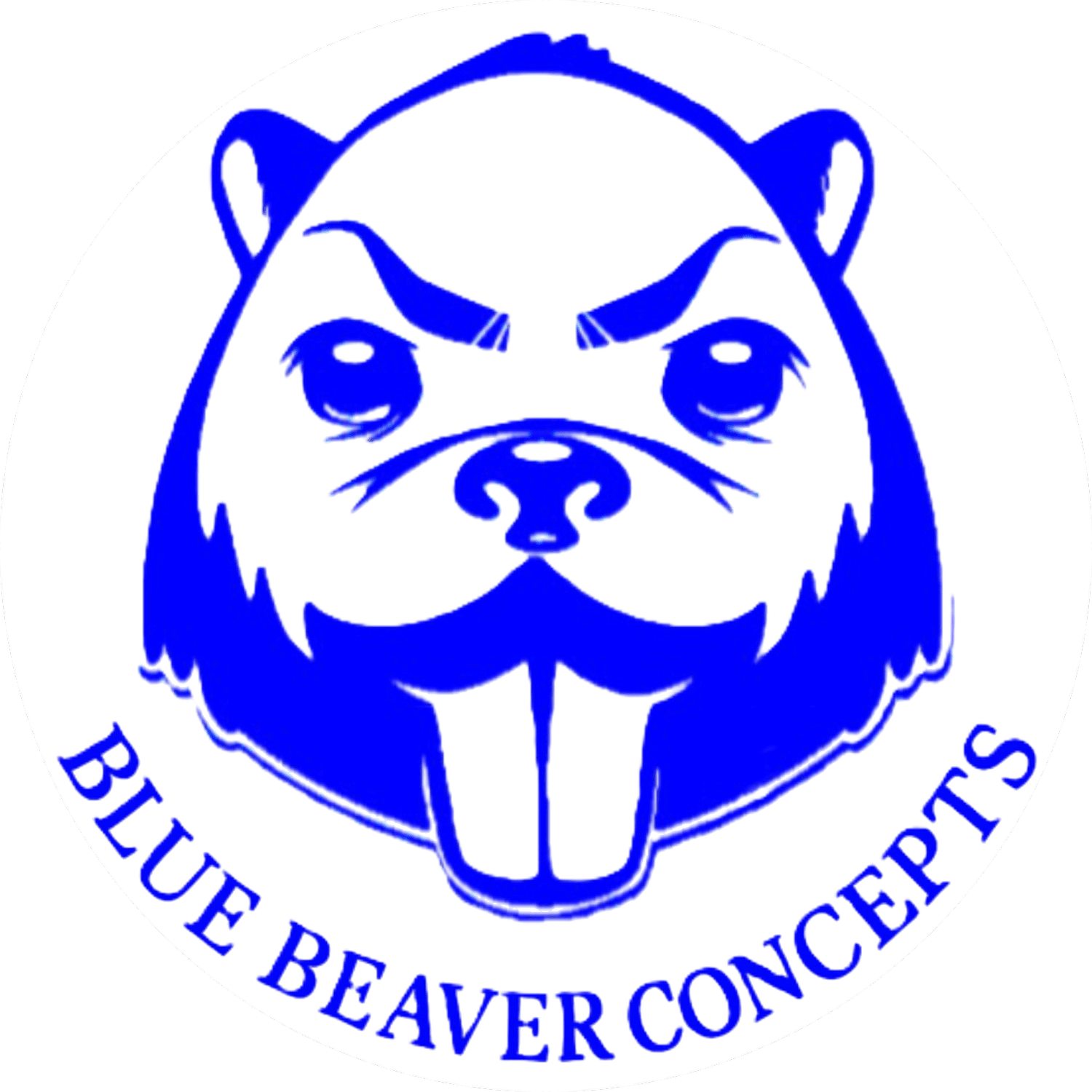 Blue Beaver Concepts