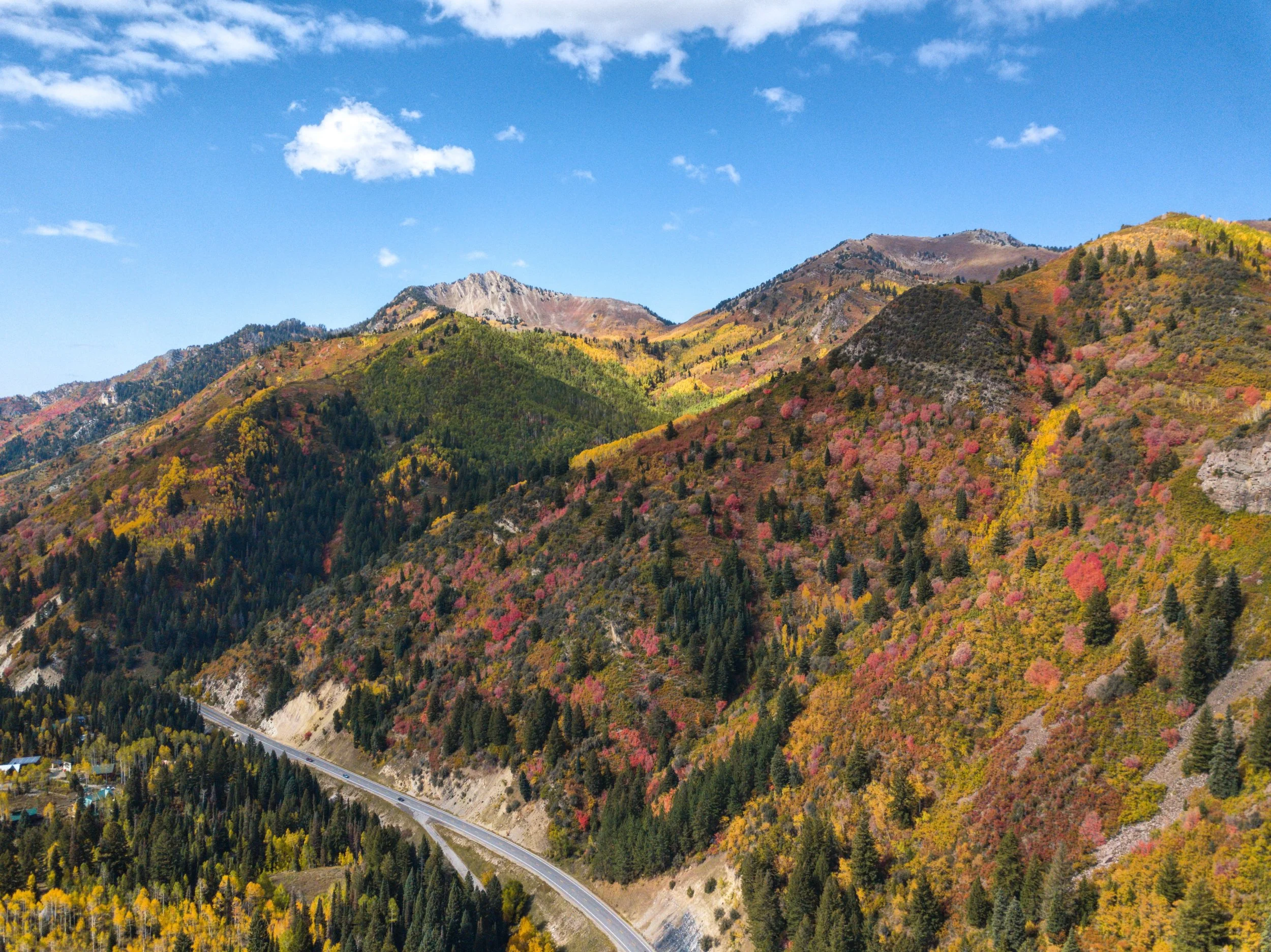Fall Colors In Big Cottonwood Canyon.jpg