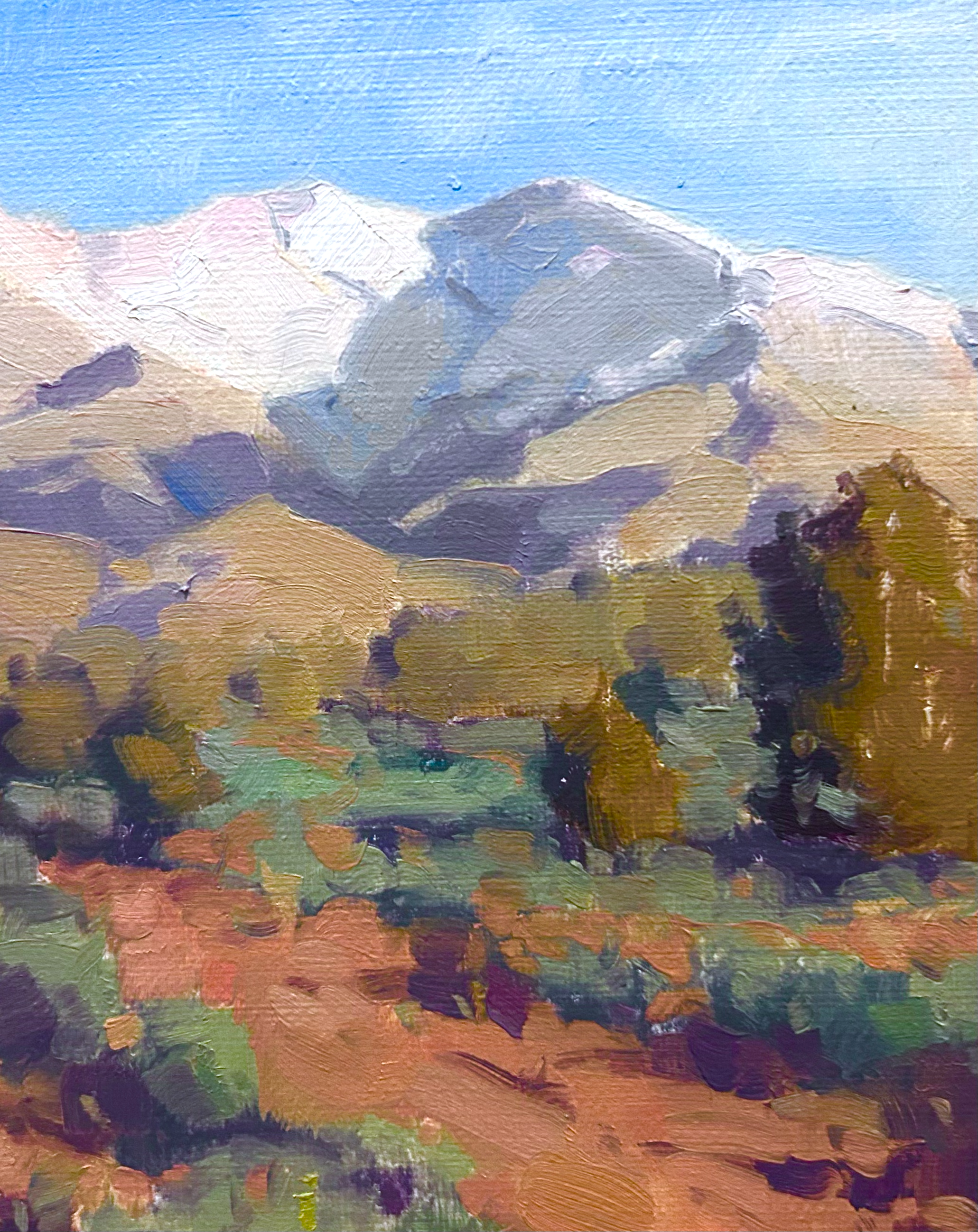 A painting of a mountain landscape with snow-capped peaks and a colorful valley in the foreground, using impressionistic brushstrokes.