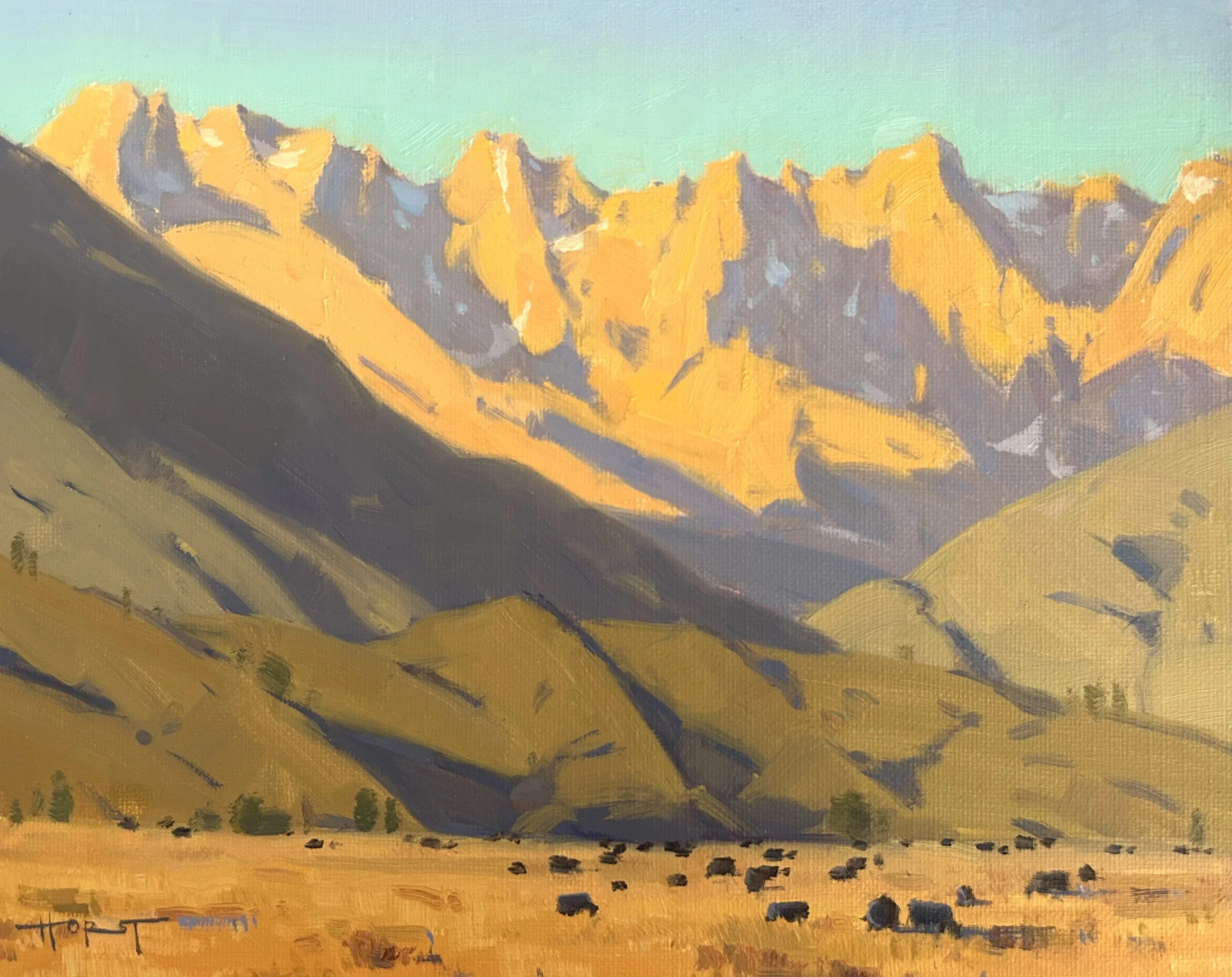 bridgeport-cows.jpg