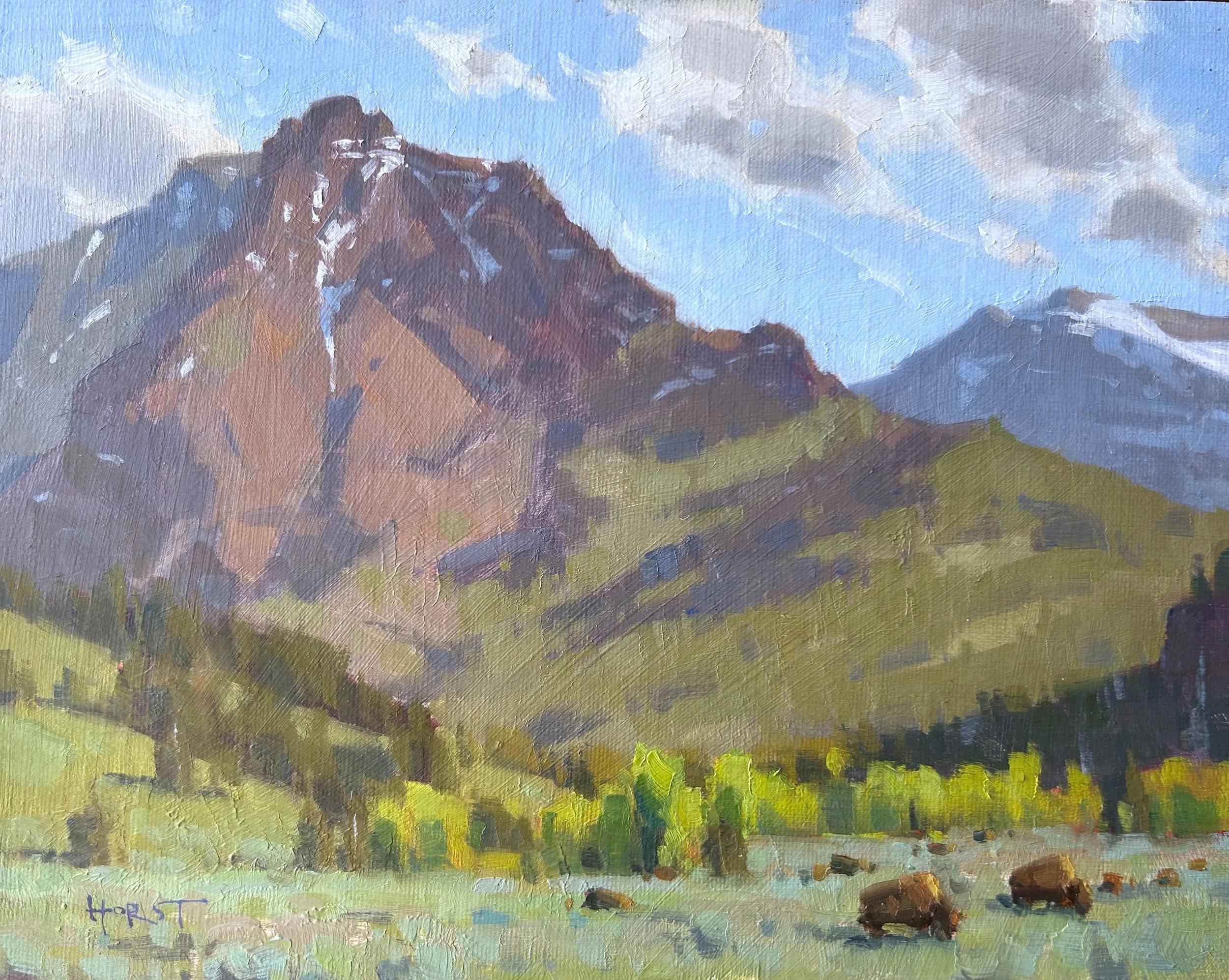 spring-in-yellowstone.jpg