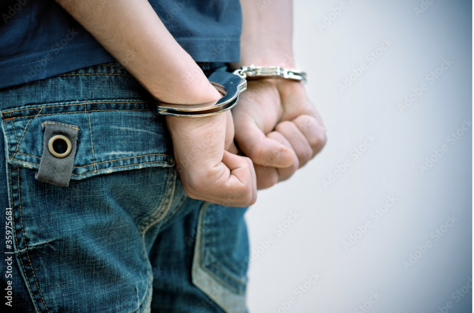 Recidivism Outcomes for Early Release