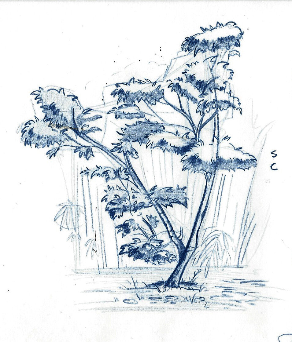 portfolio+2.jpg