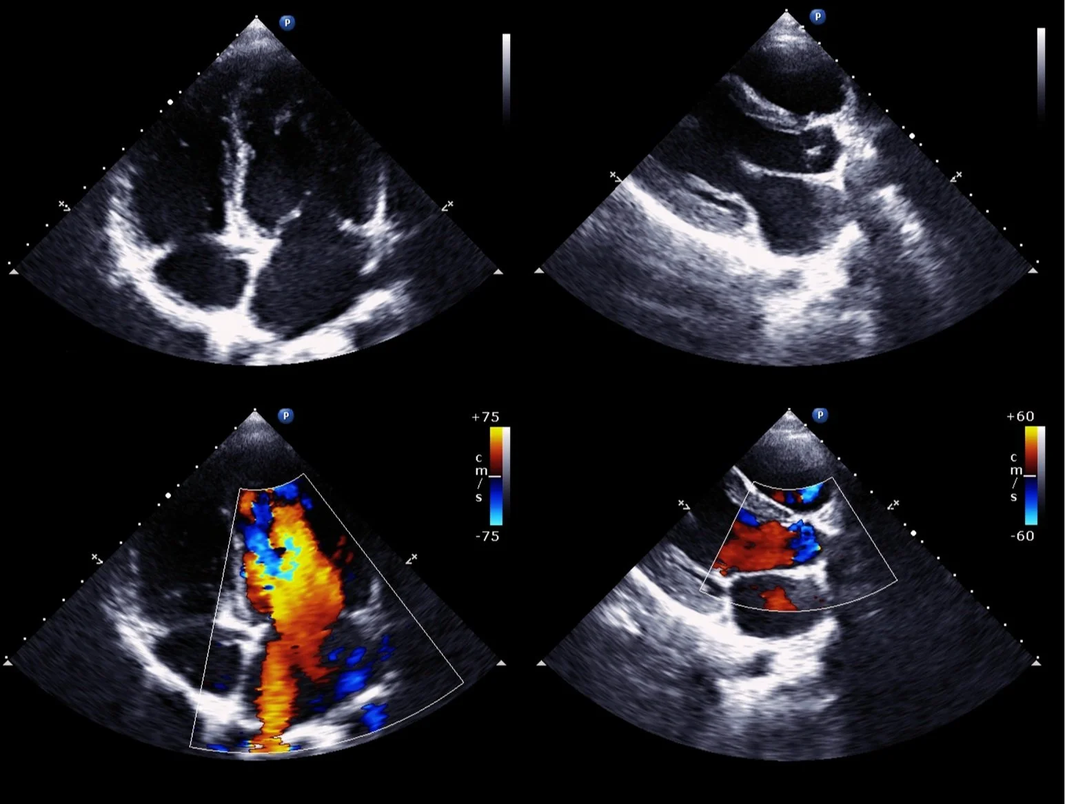 Untitled design (42).jpg