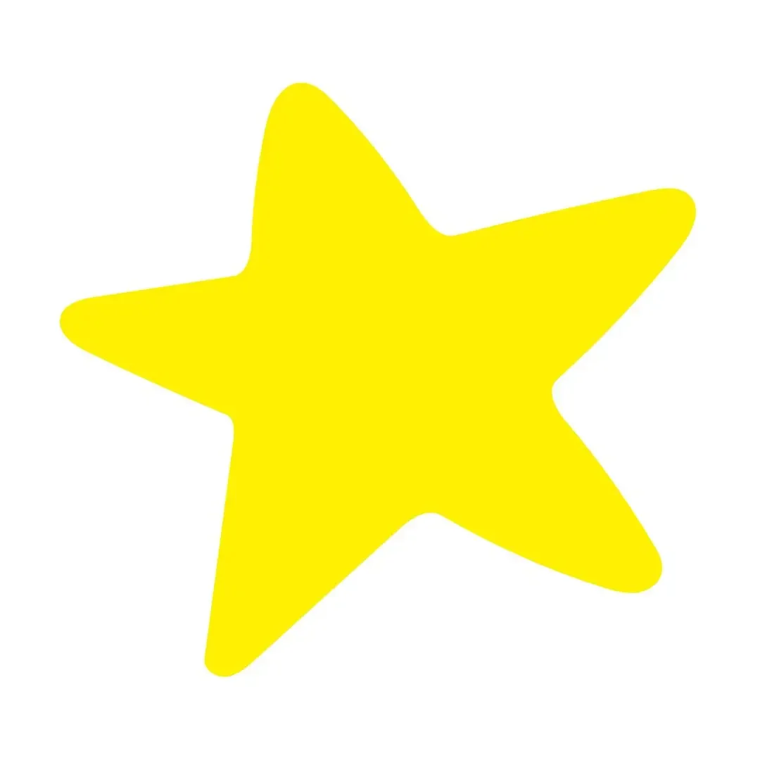 The Champion Project Fun Star branded element