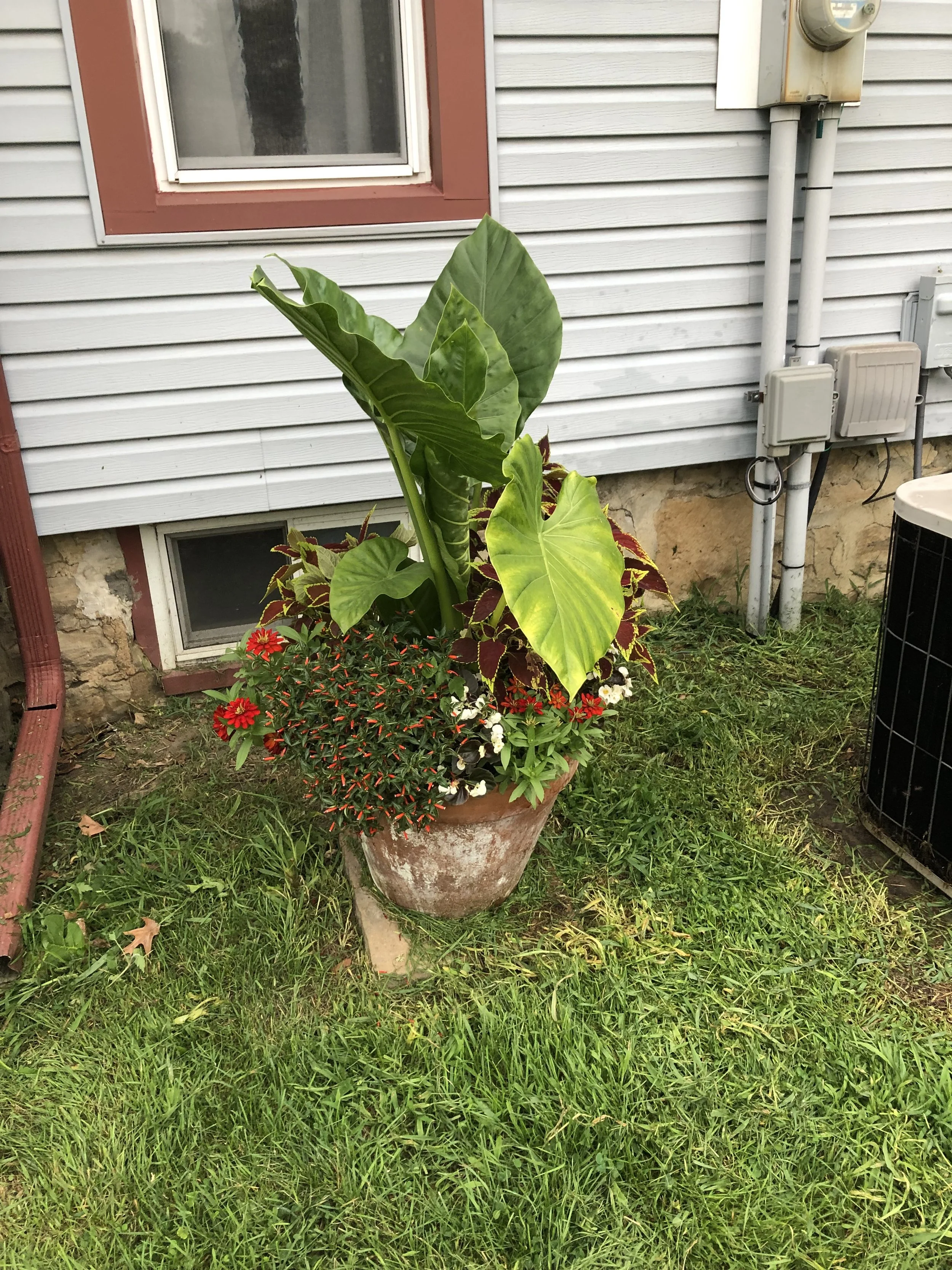 image4 (1).jpeg